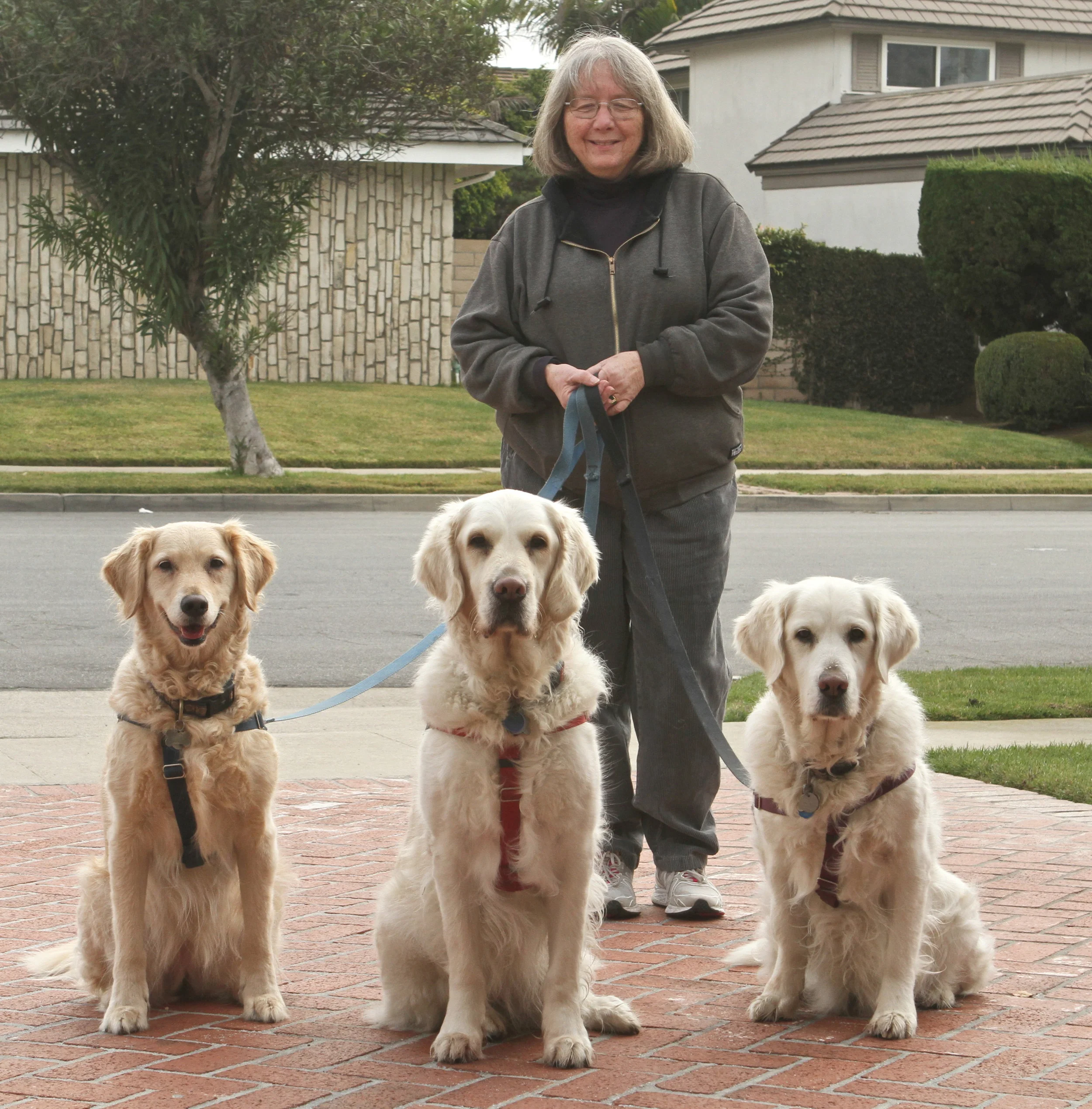  My friend Adrienne visiting me with her three well behaved dogs. Huntington Beach, Ca. 