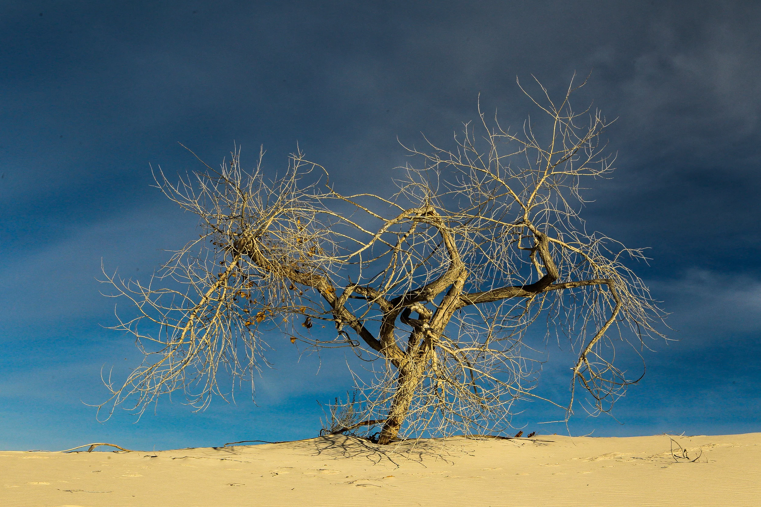  White Sands National Monument, New Mexico. 