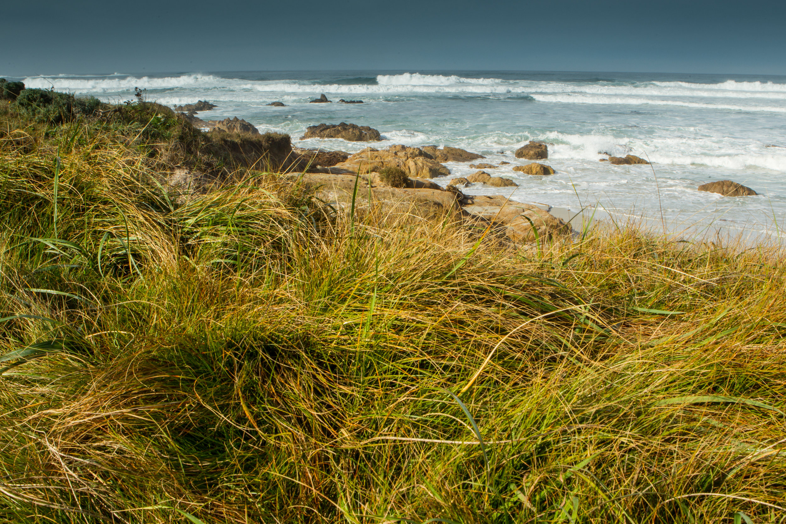  Monterey, California, 17 Mile Drive. 
