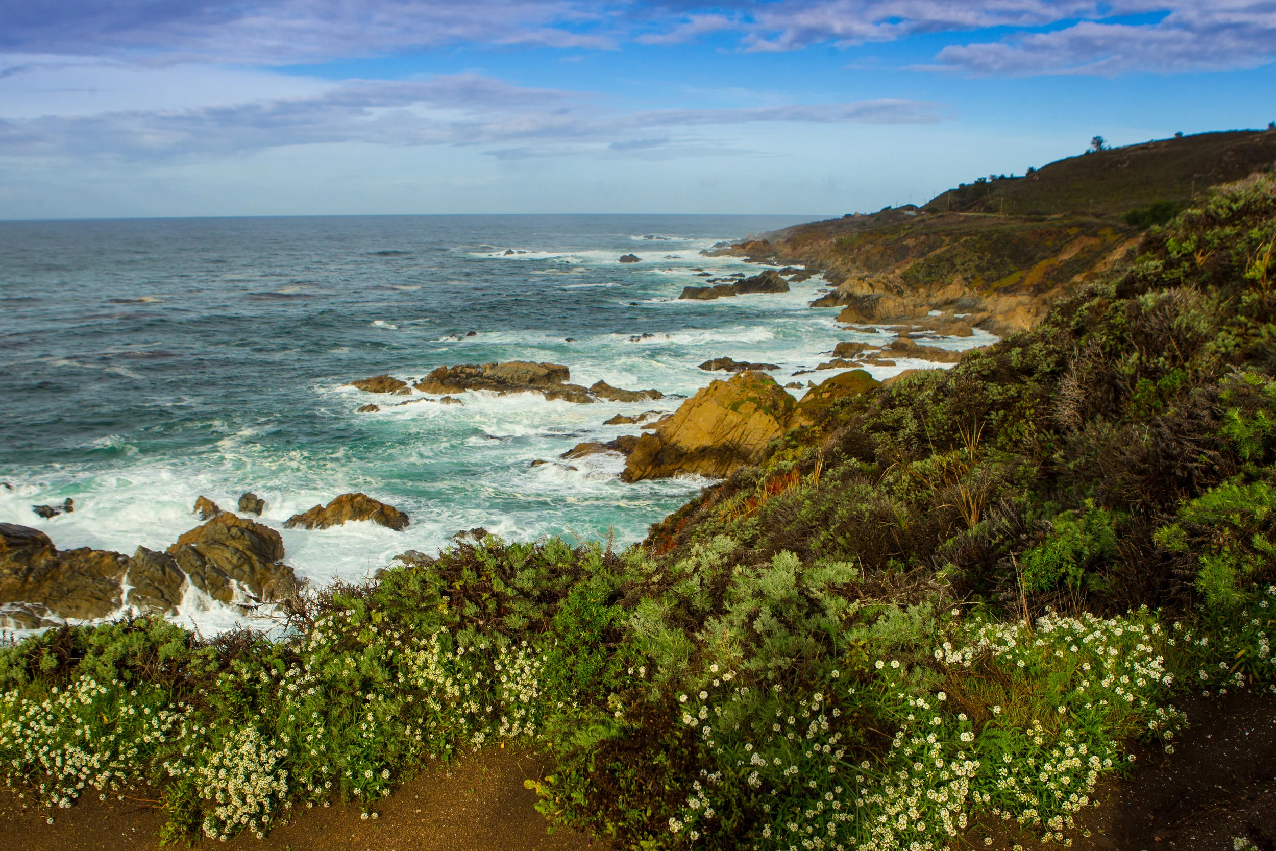  Monterey, California, 17 Mile Drive. 