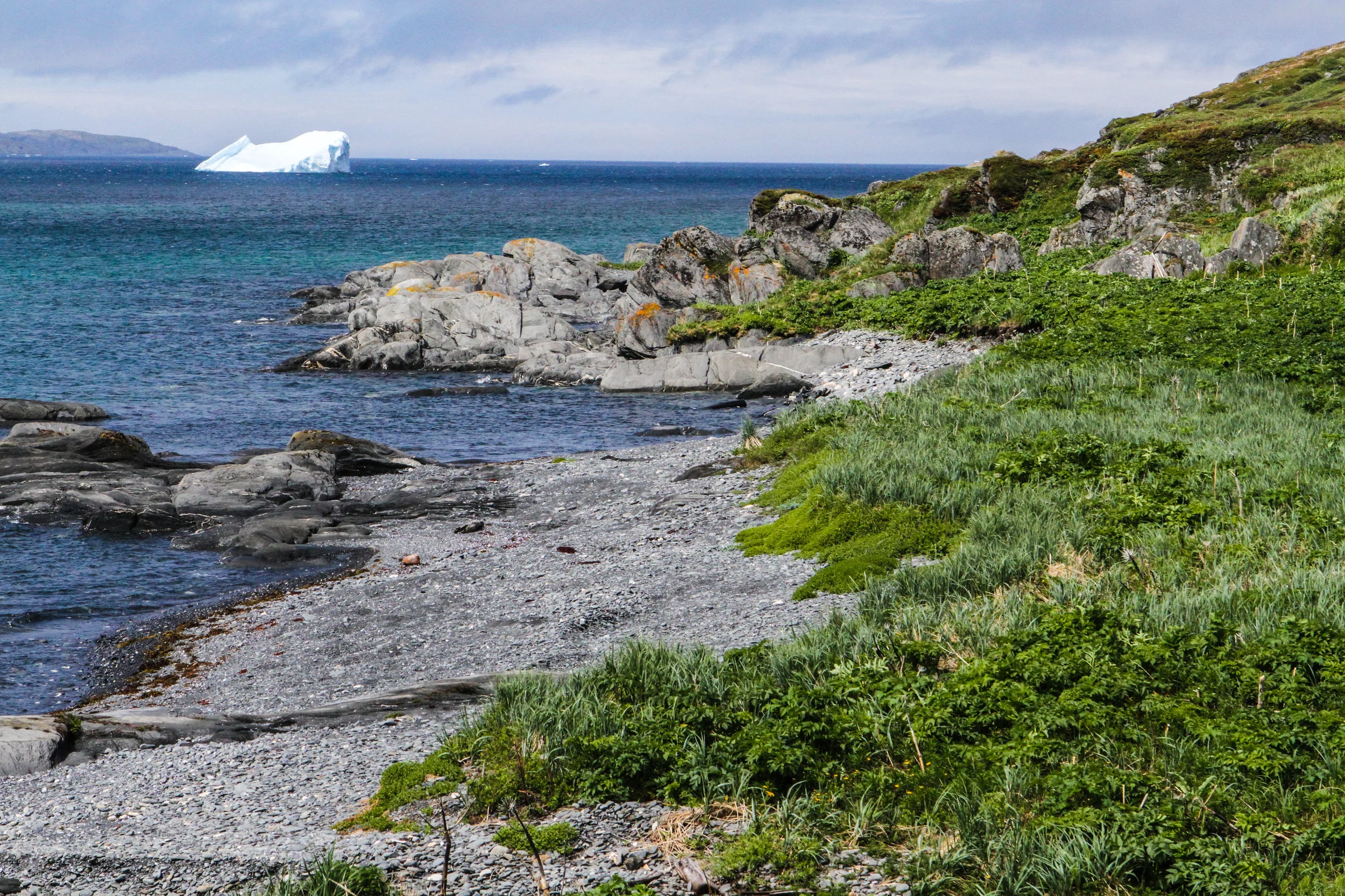  Newfoundland, Canada, note the iceberg in background. 