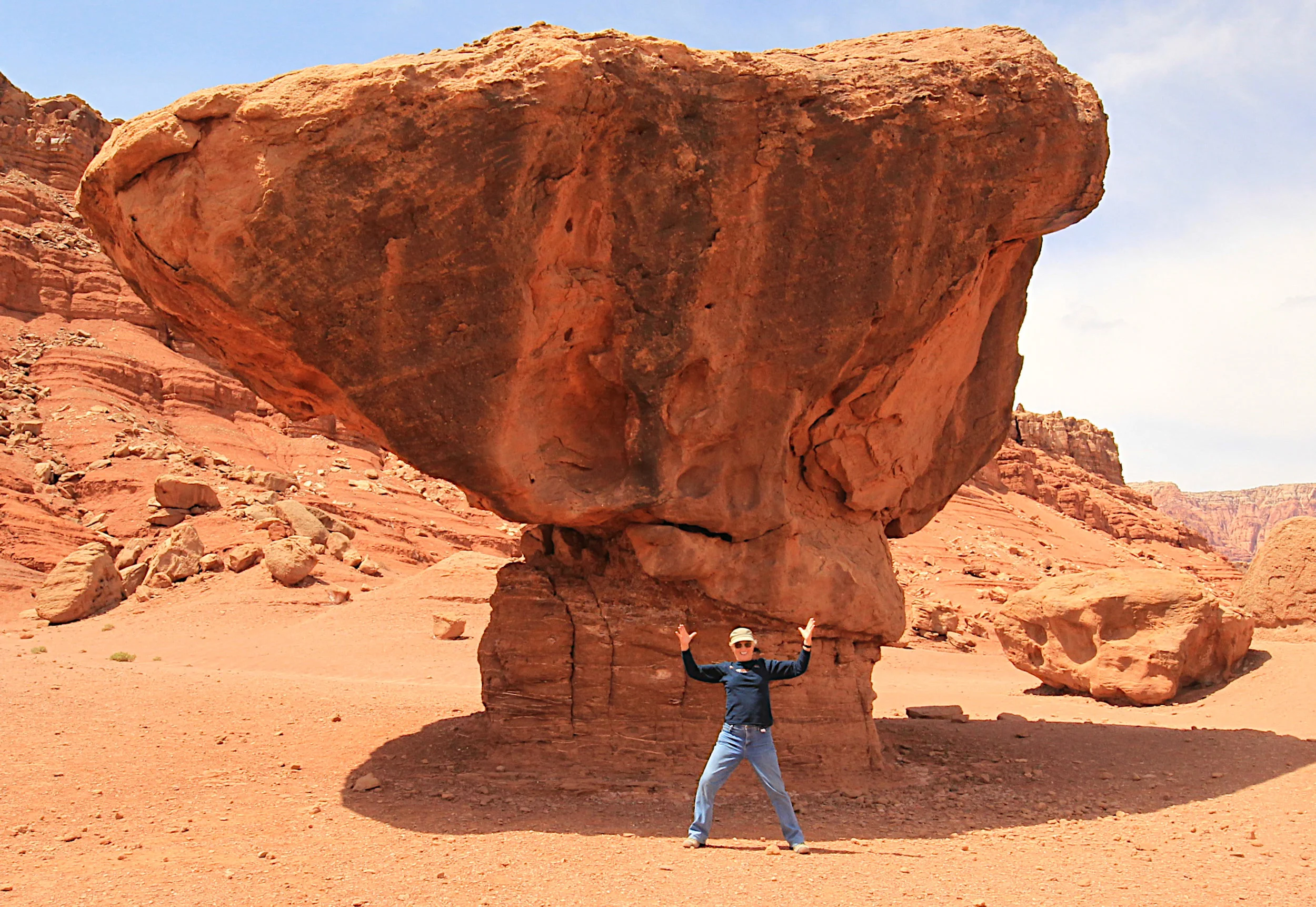  I'll go anywhere looking for birds. 