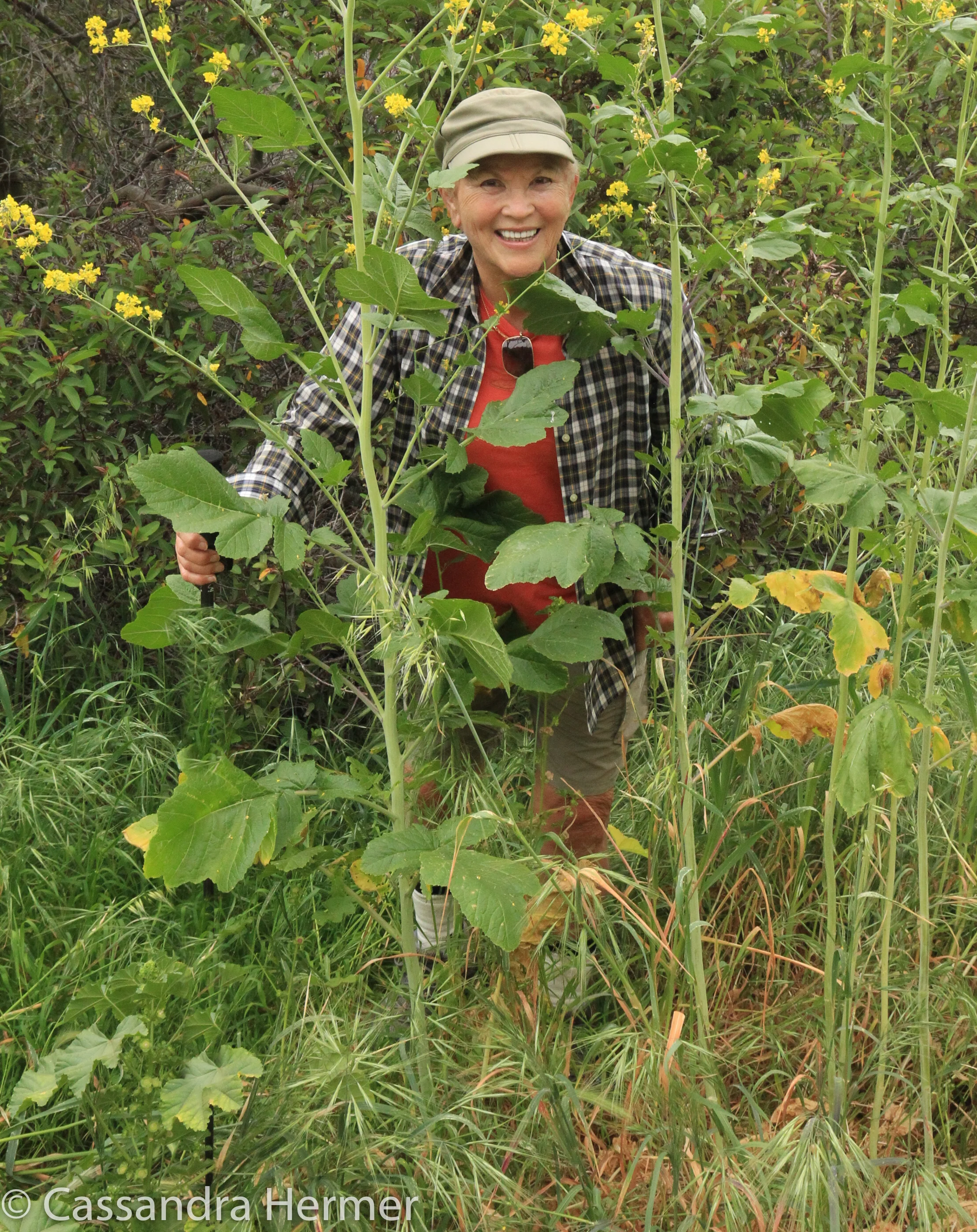  Always looking for those bugs! 