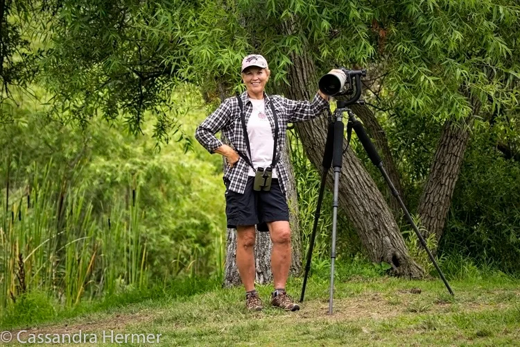  My love has always been birds. I've been very lucky to travel to different countries to follow my passion.&nbsp;( A thanks to Robin for this photo) 