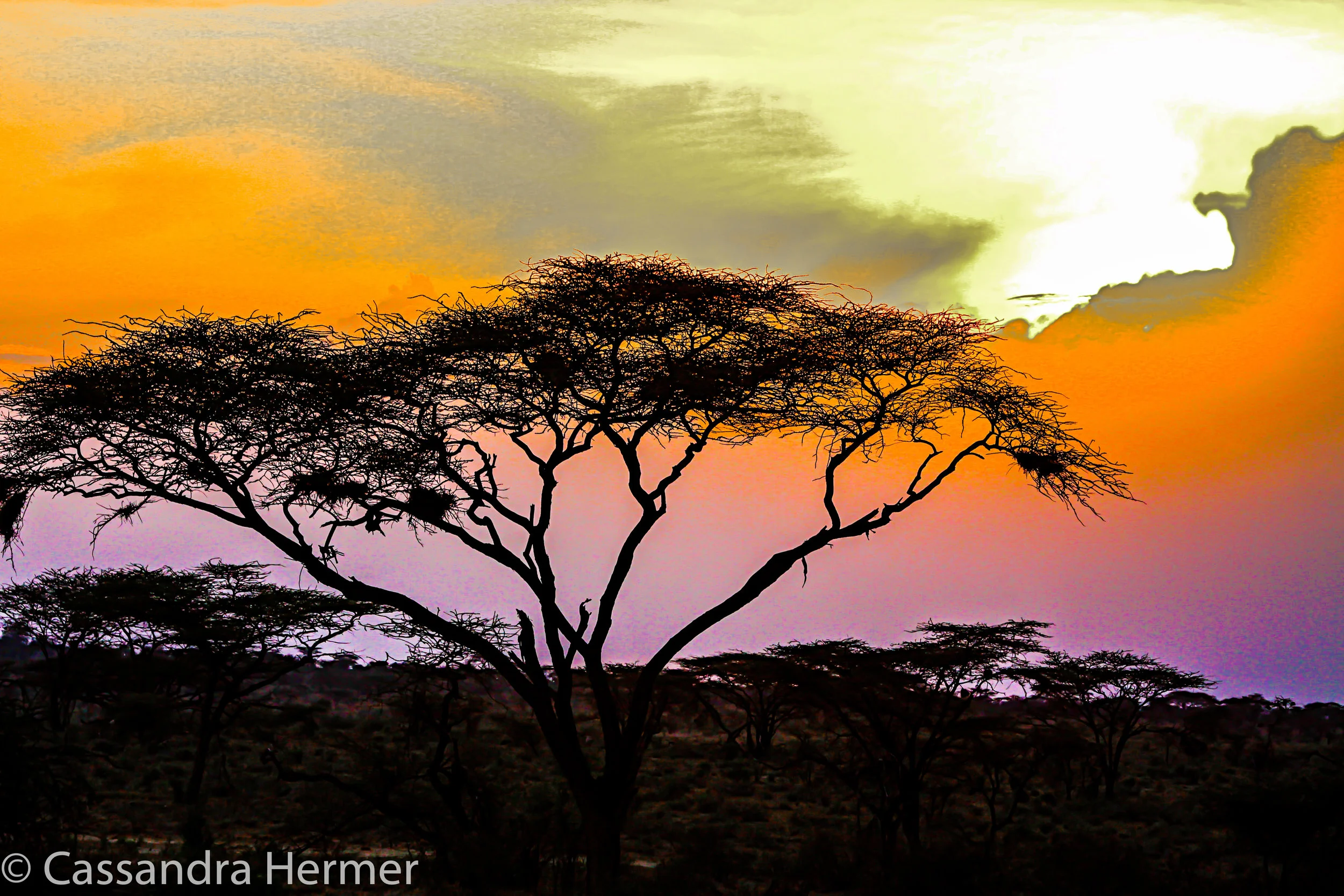  And a lovely sunrise. 