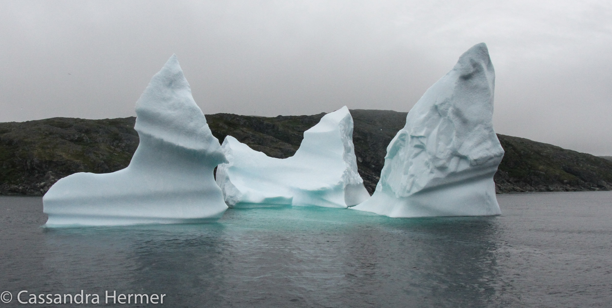  Icebergs in Newfoundland , the shapes made by winds. 