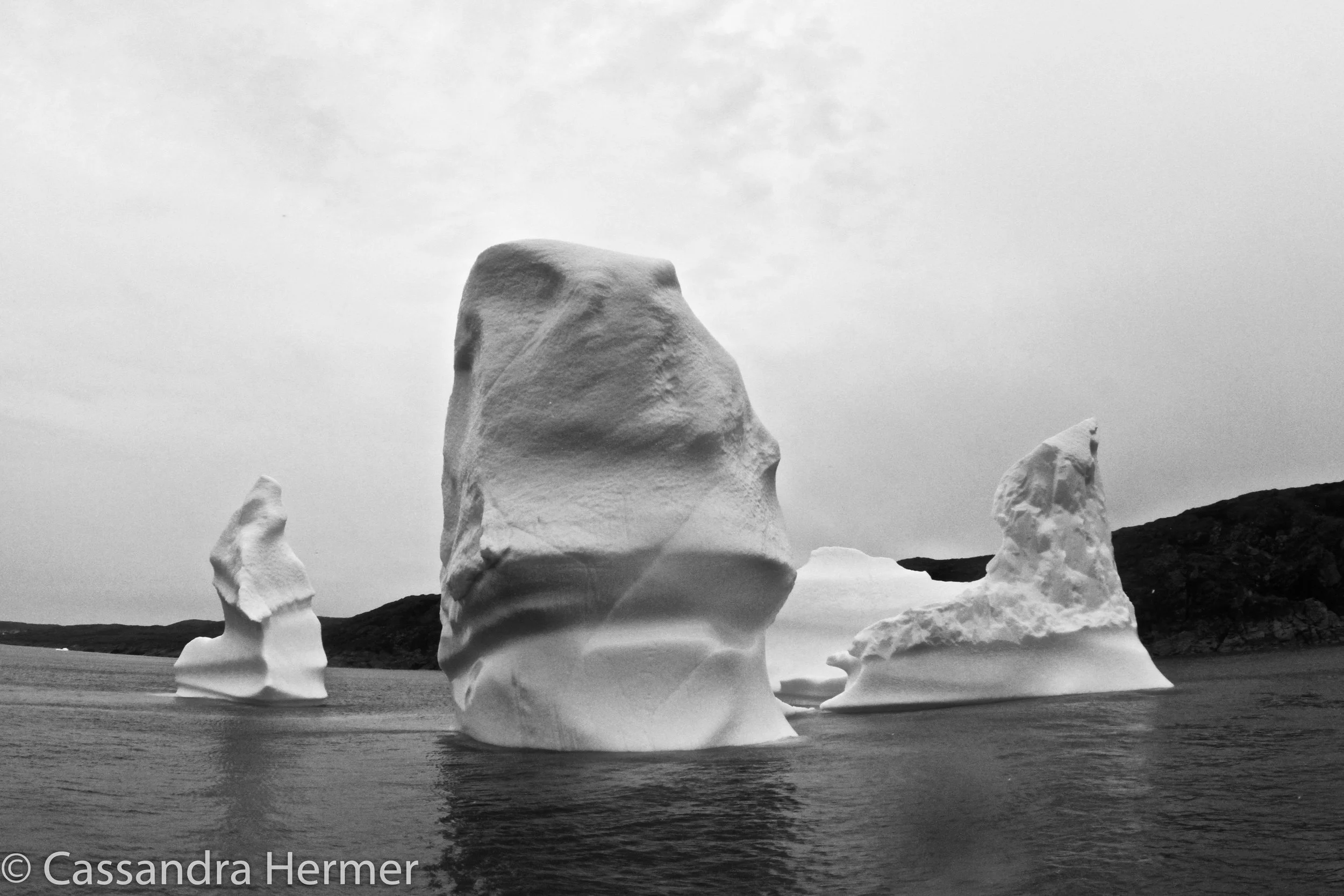  More icebergs in Newfoundland. 