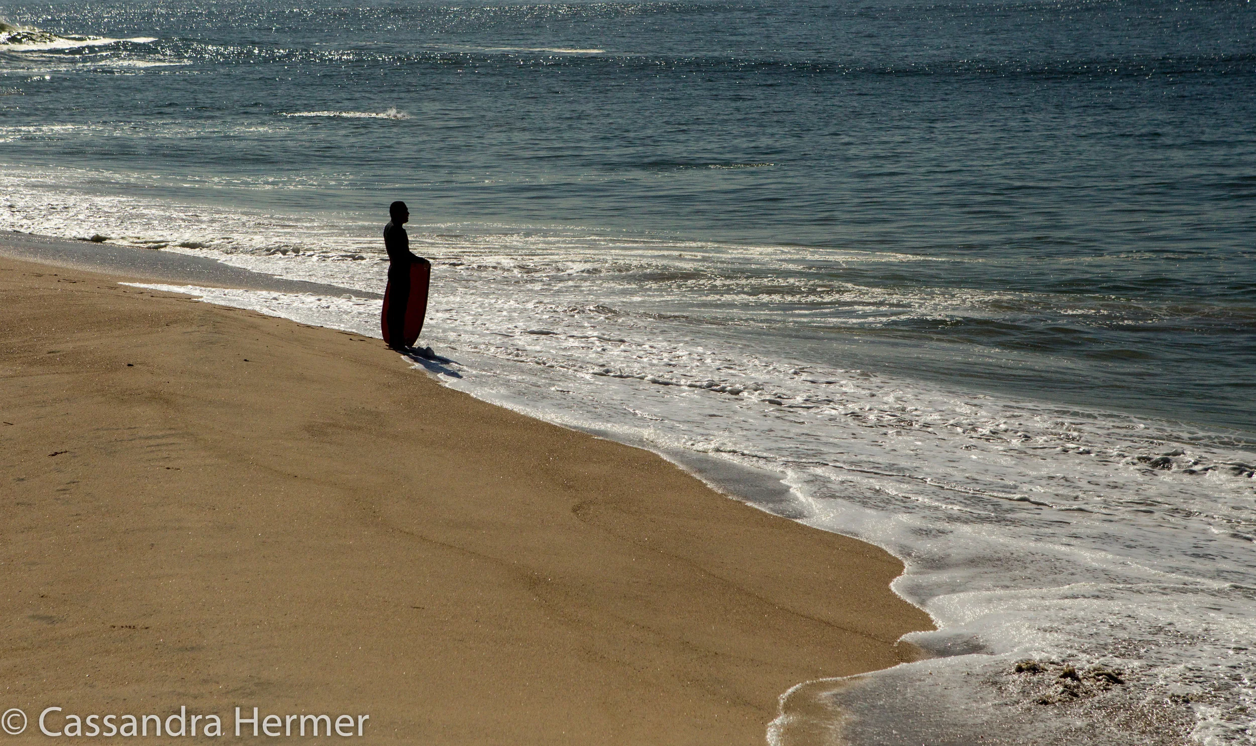  Catch the wave. Seal Beach, California 