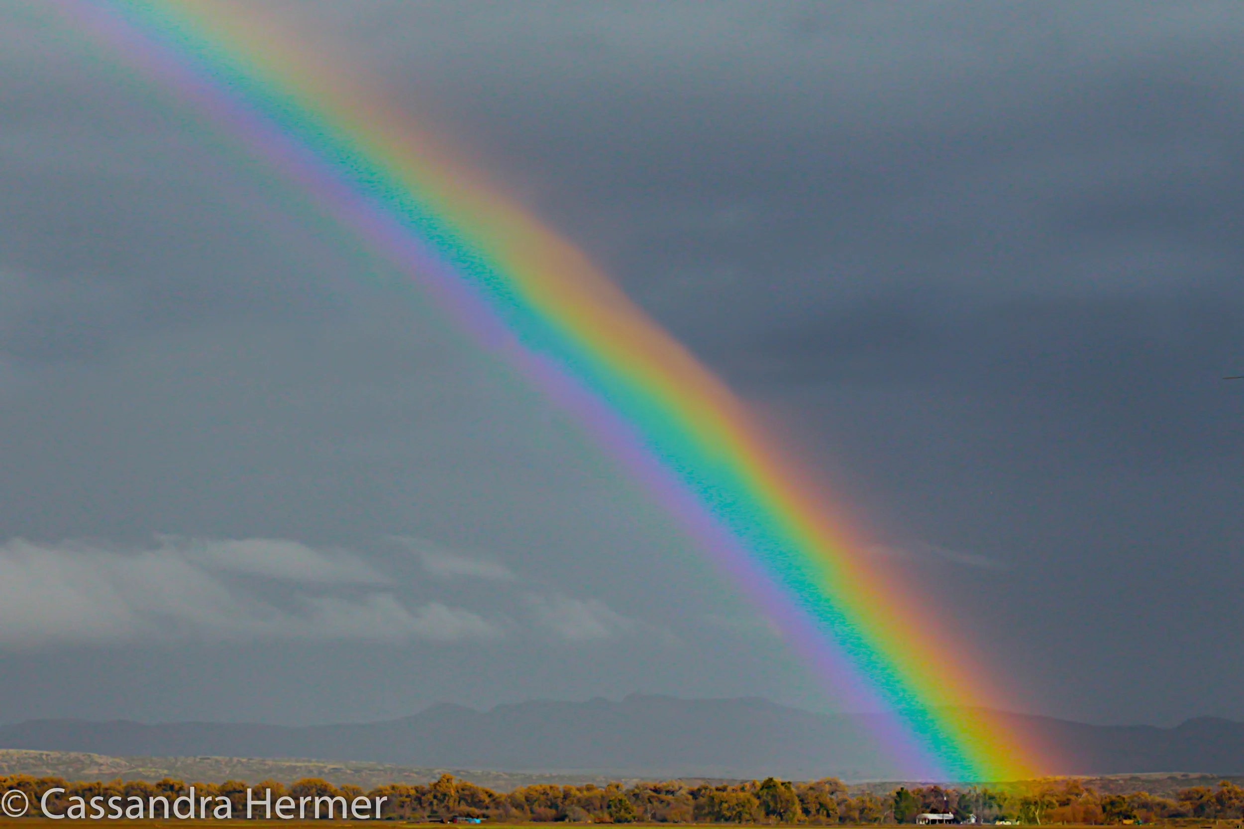  New Mexico rainbow. 