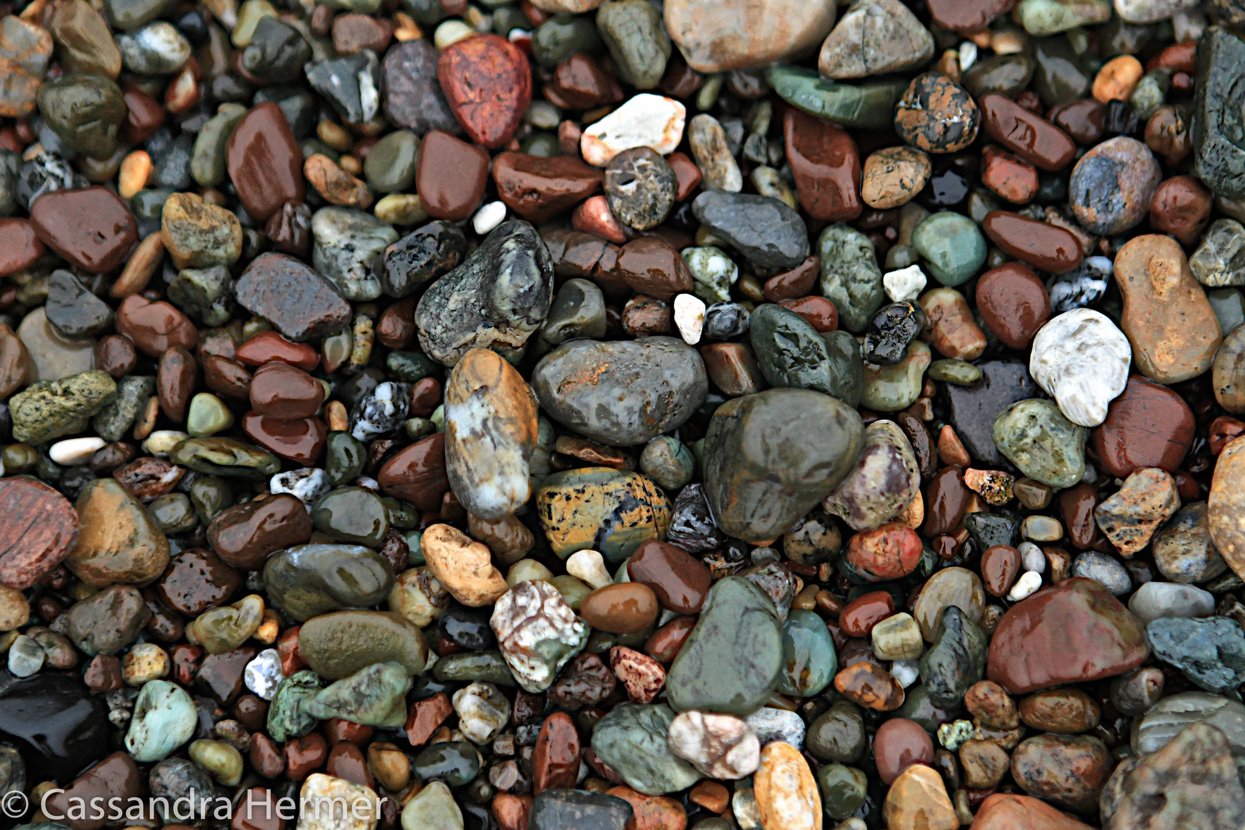  Ever look closely at rocks? Cambria, California 