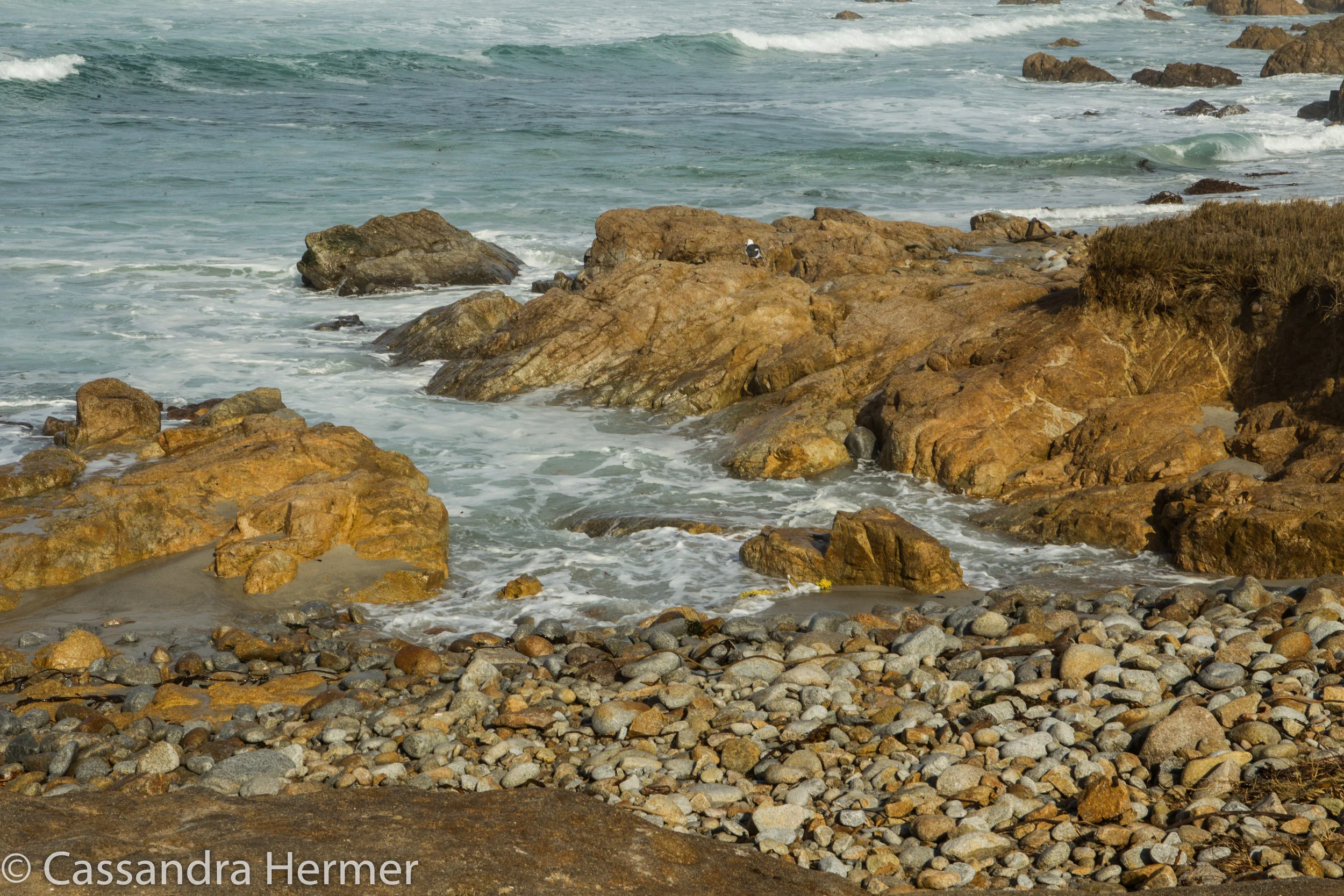  Rocks near Monterey, California 