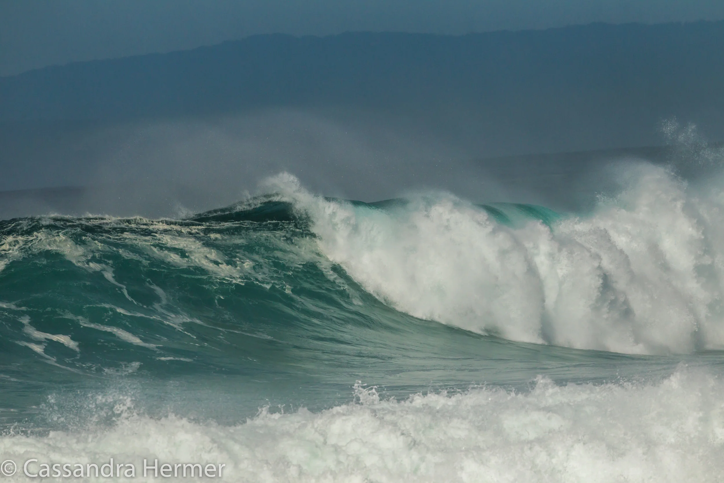  Ocean waves, near Monterey, Californi 