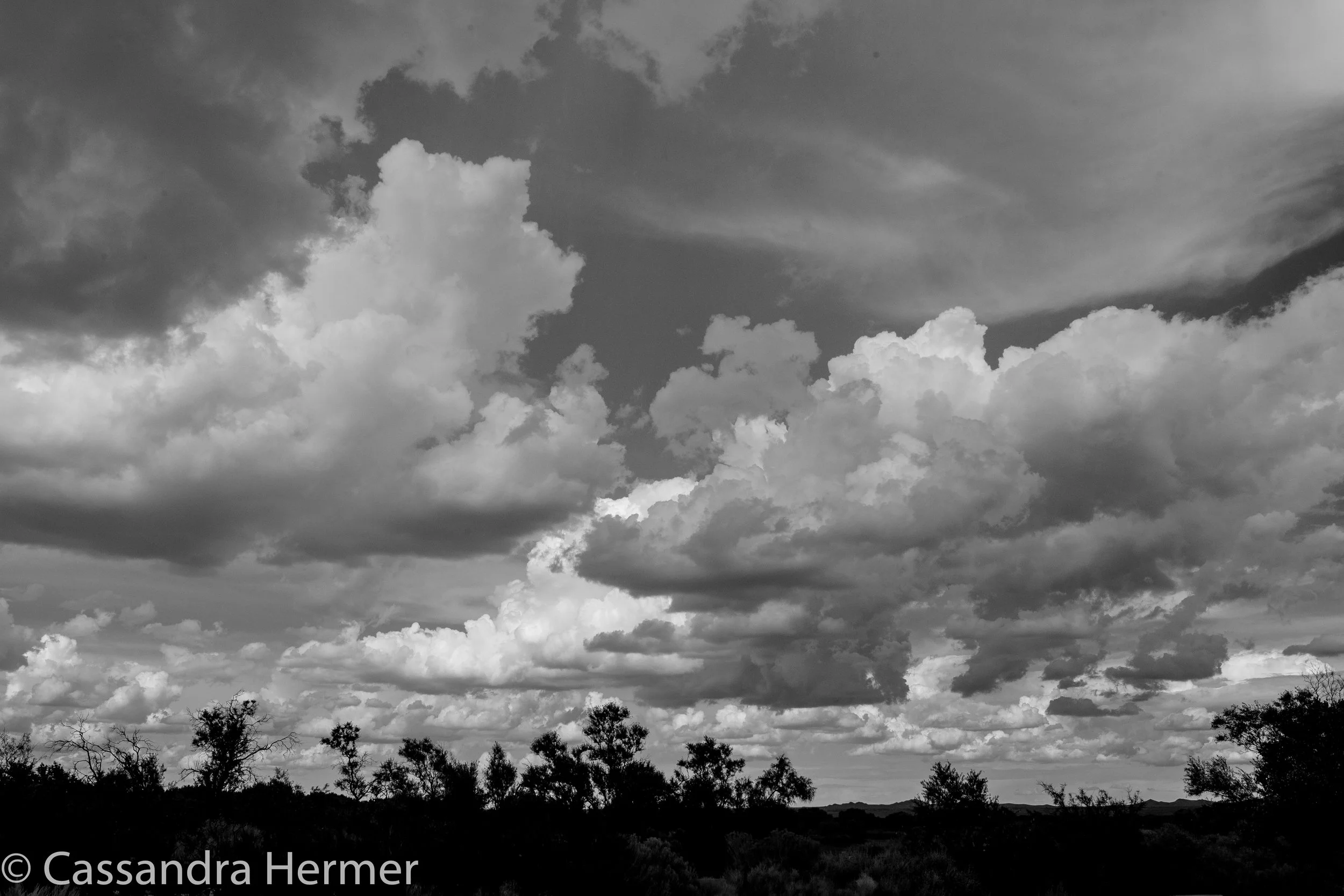 New Mexico skyline 