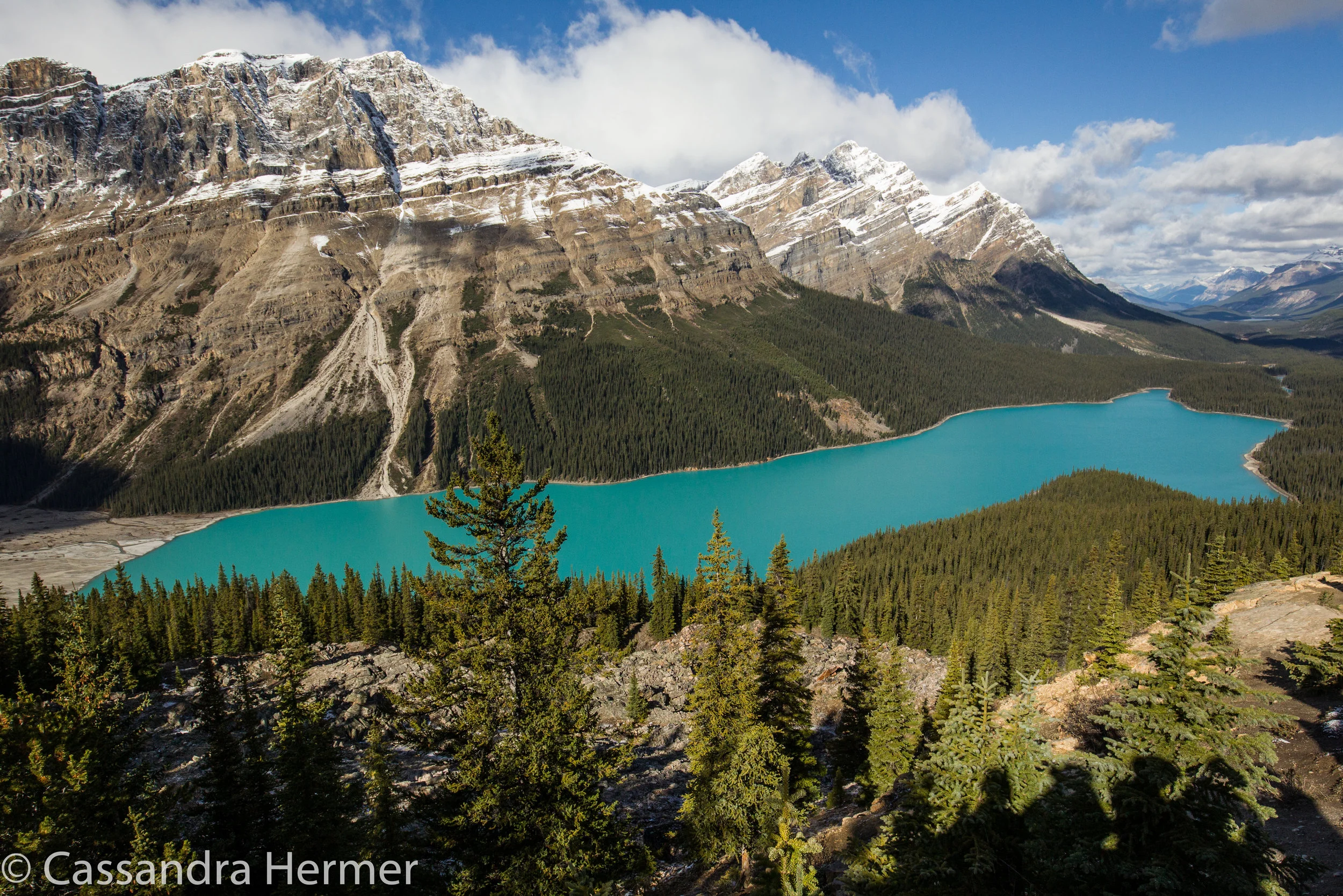  Peyto Lake, Alberta Canada. YES, it's this color, no photoshopping done. All due to glacier runoff. 