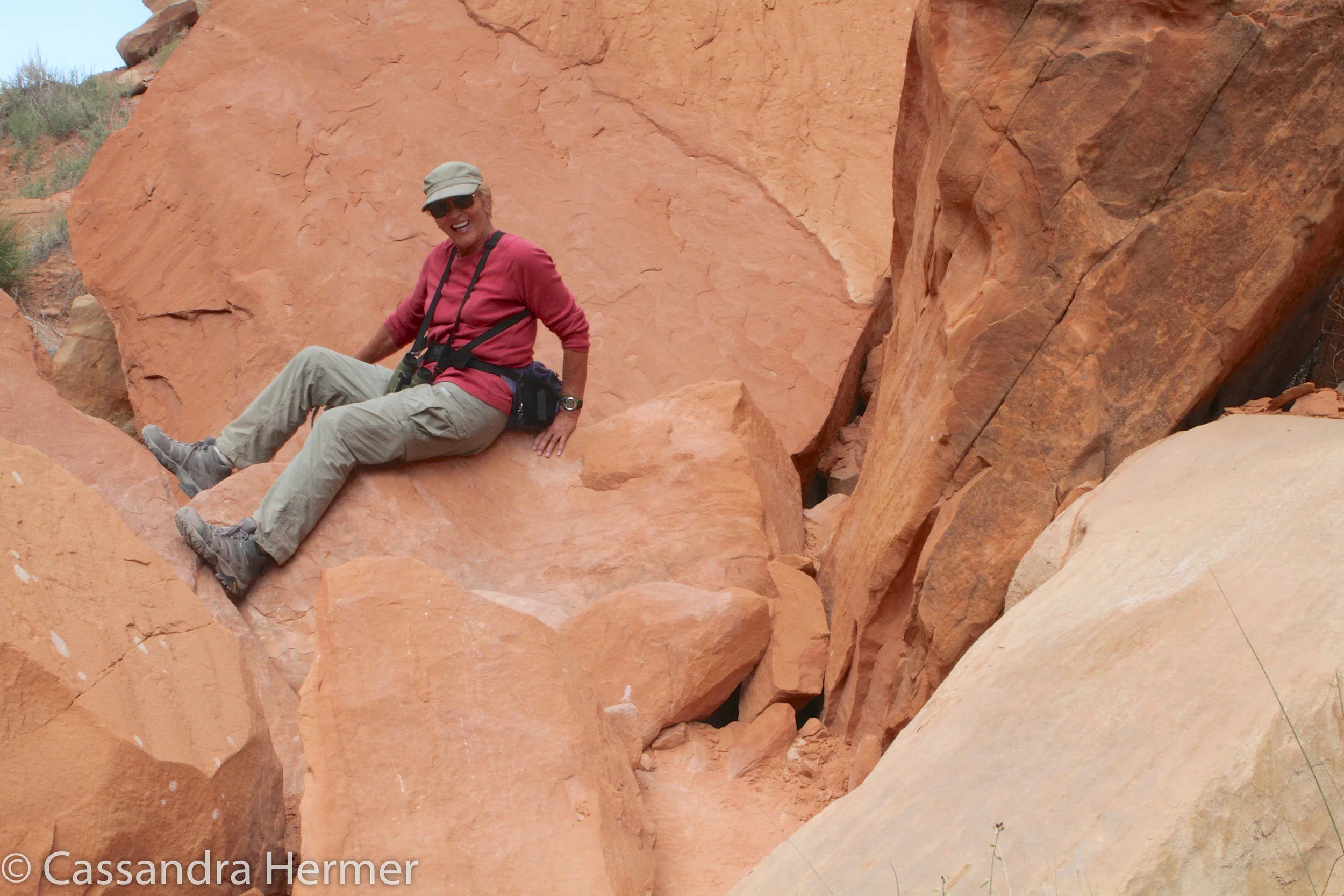 &nbsp;There is always something to photograph. Keeping my eyes open I find some amazing things,colors,shapes,designs, dead or alive, all due to the creation of Mother Nature. Utah 