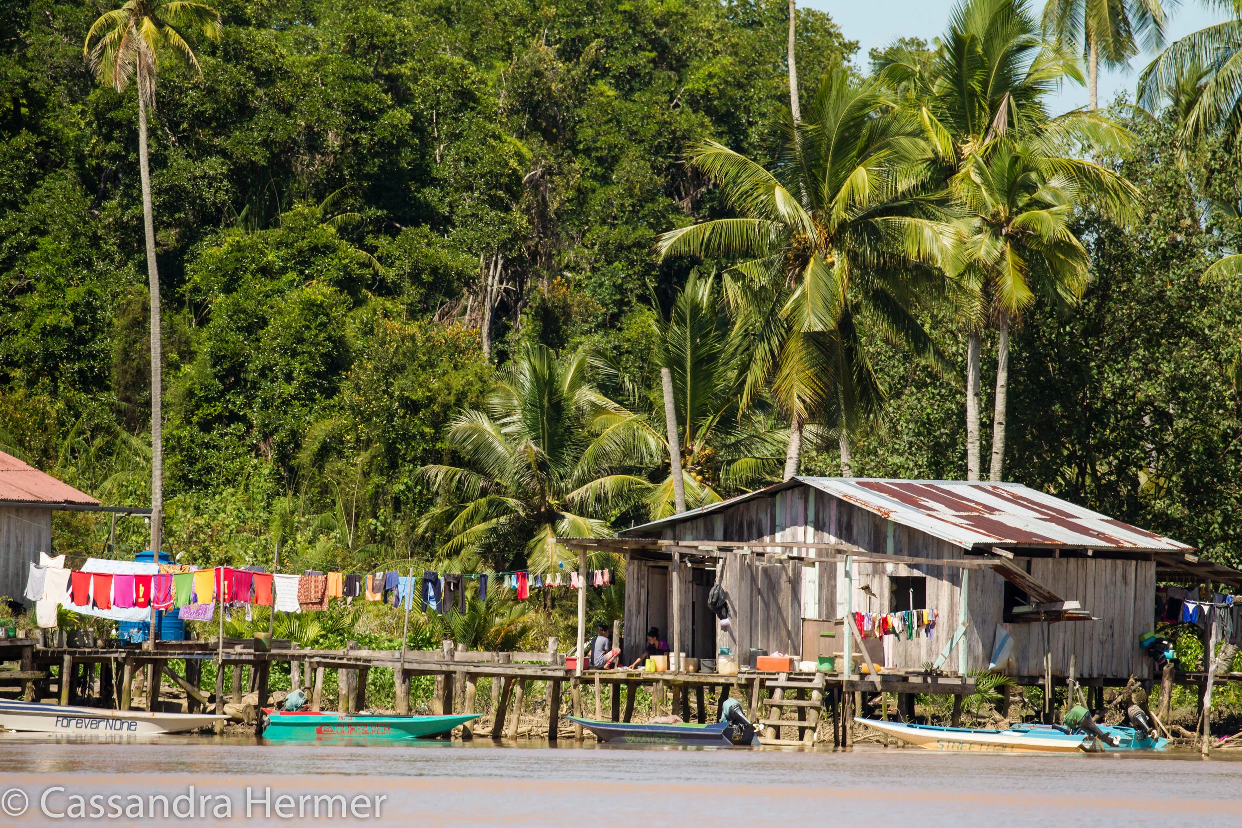  Housing on the Danum River, Borneo. 