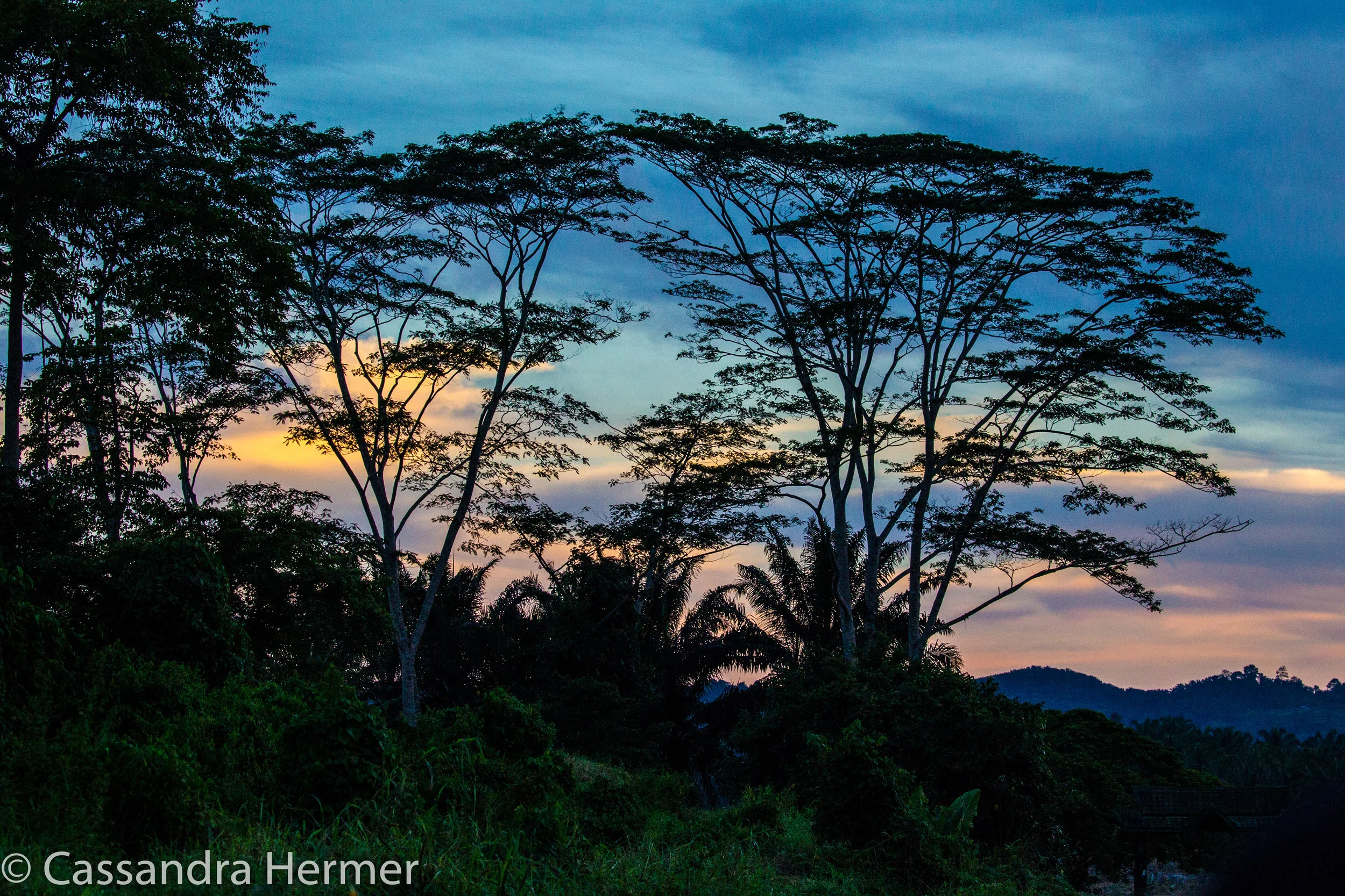  Sunrise in Borneo 