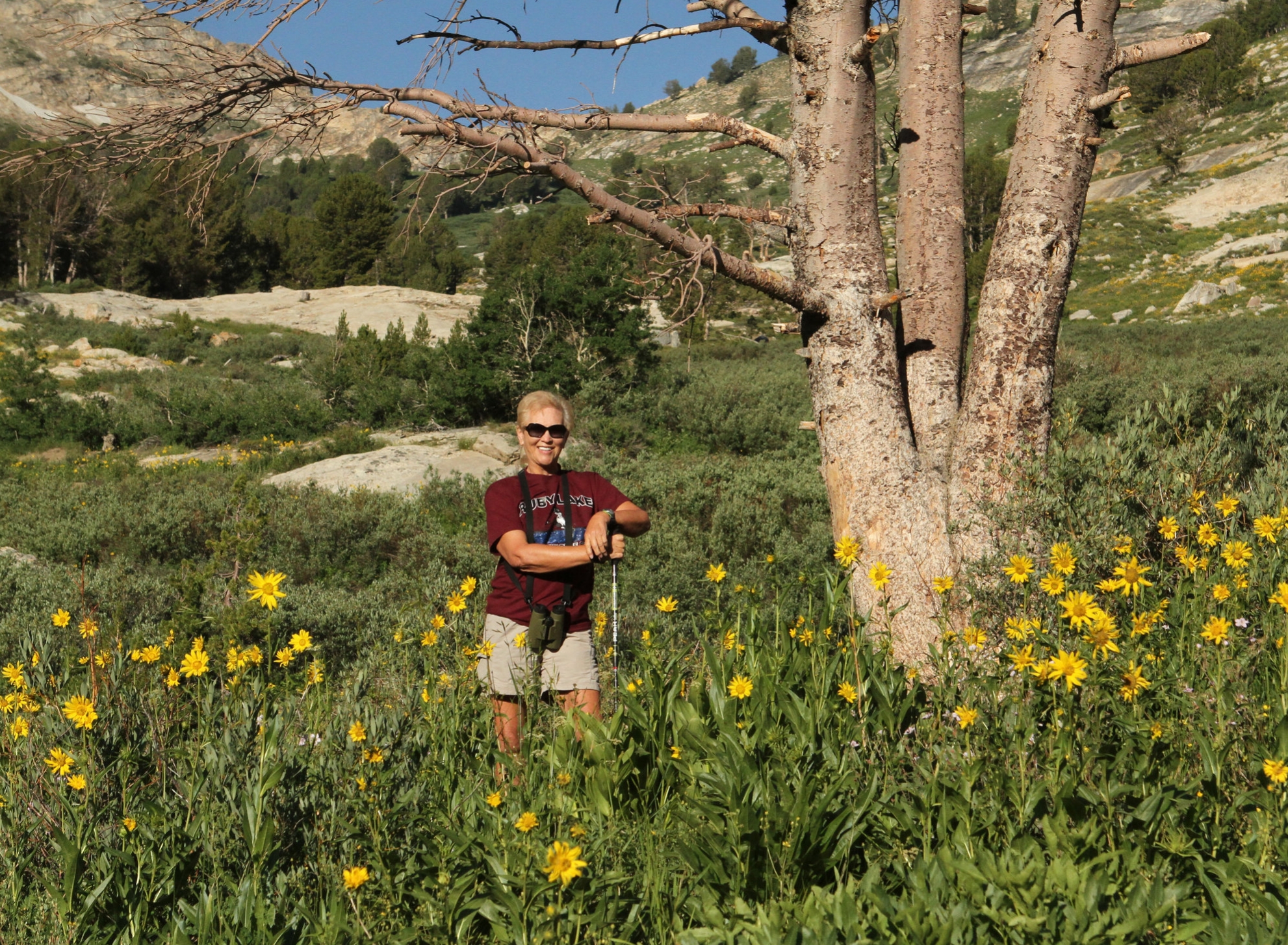  Sometimes it's good to put your camera down and just hike it. Ruby Mountains, Nevada. 