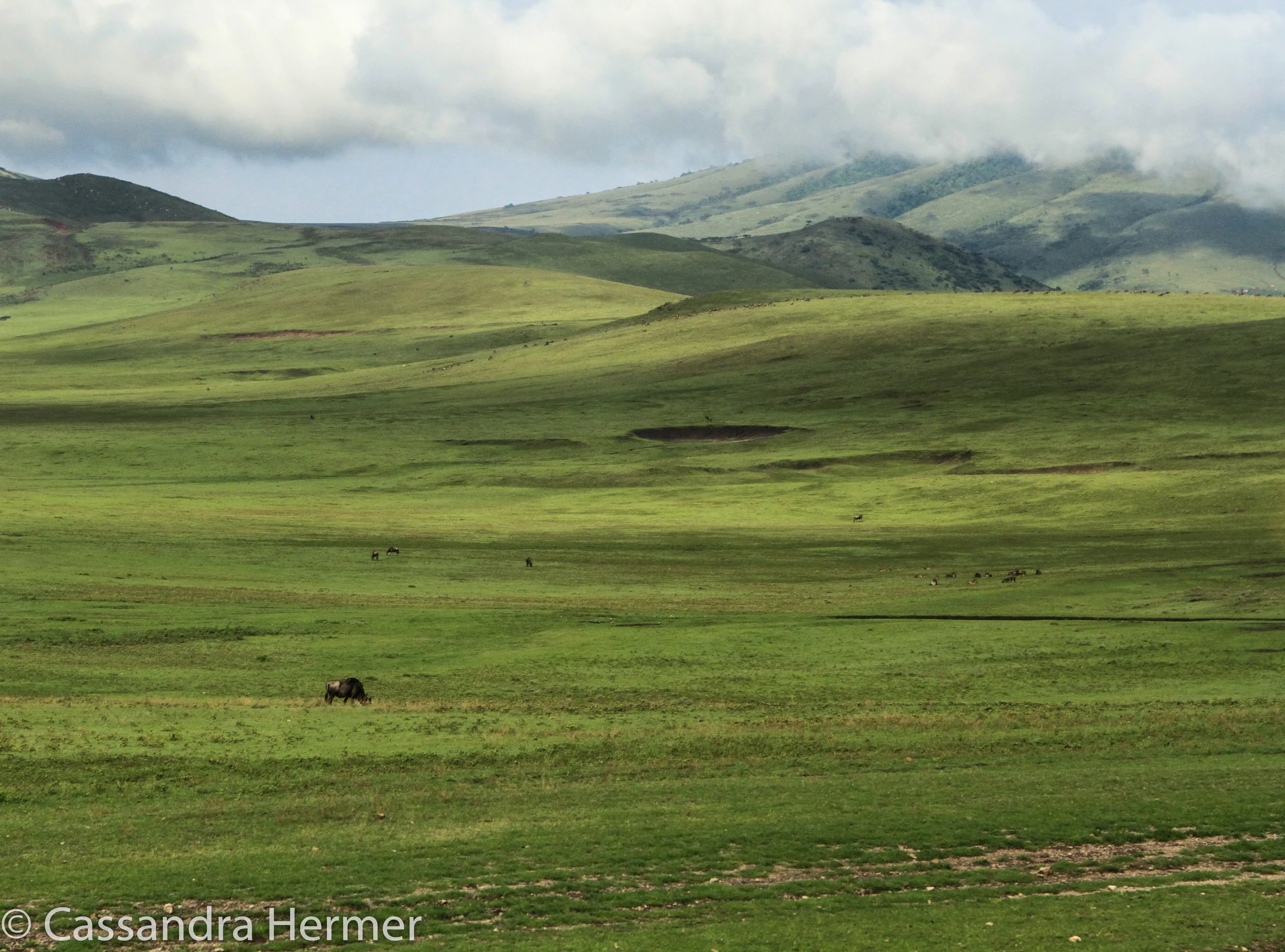  Ngorongoro Crater 