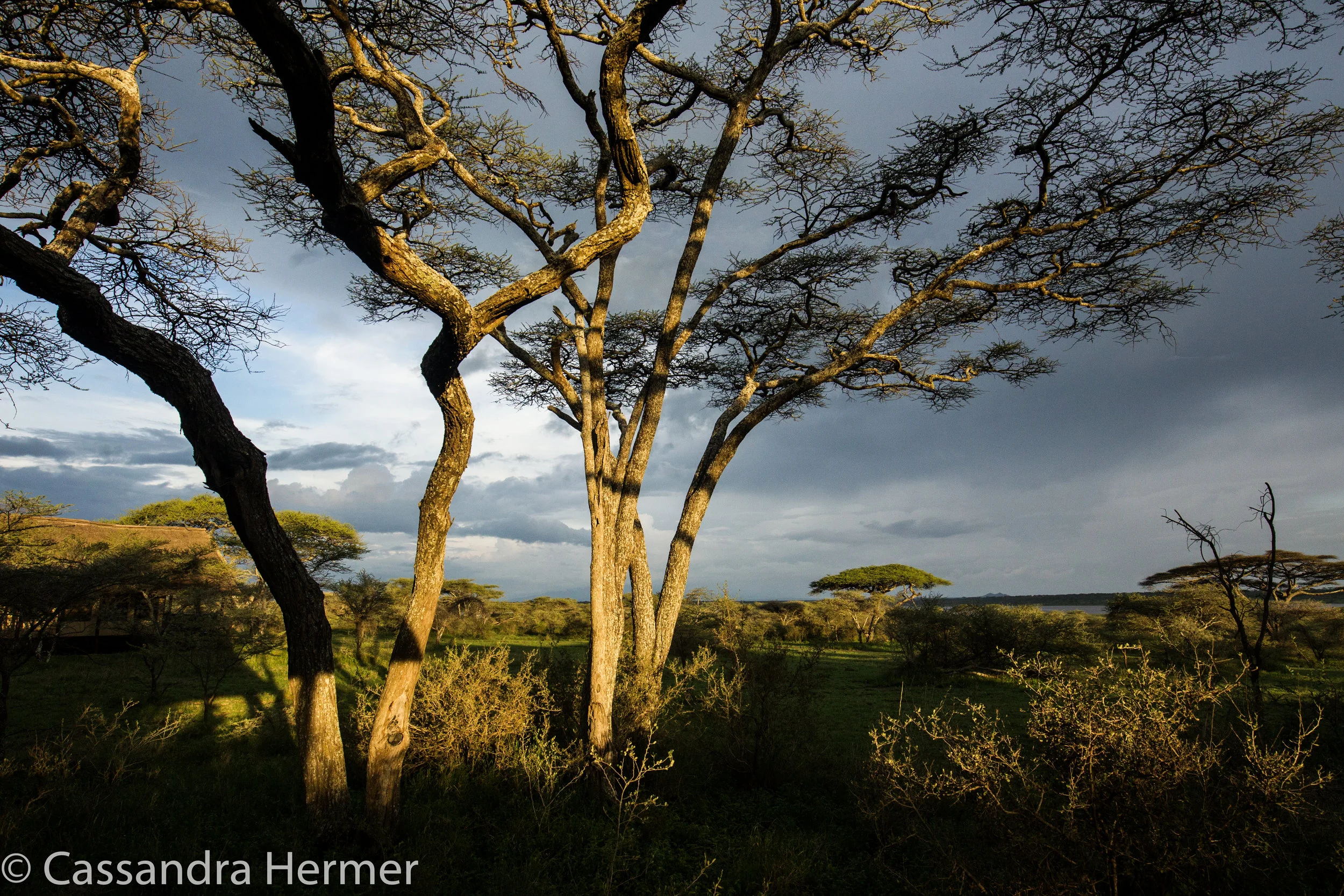  Sunset from our deck in the Serengeti. 