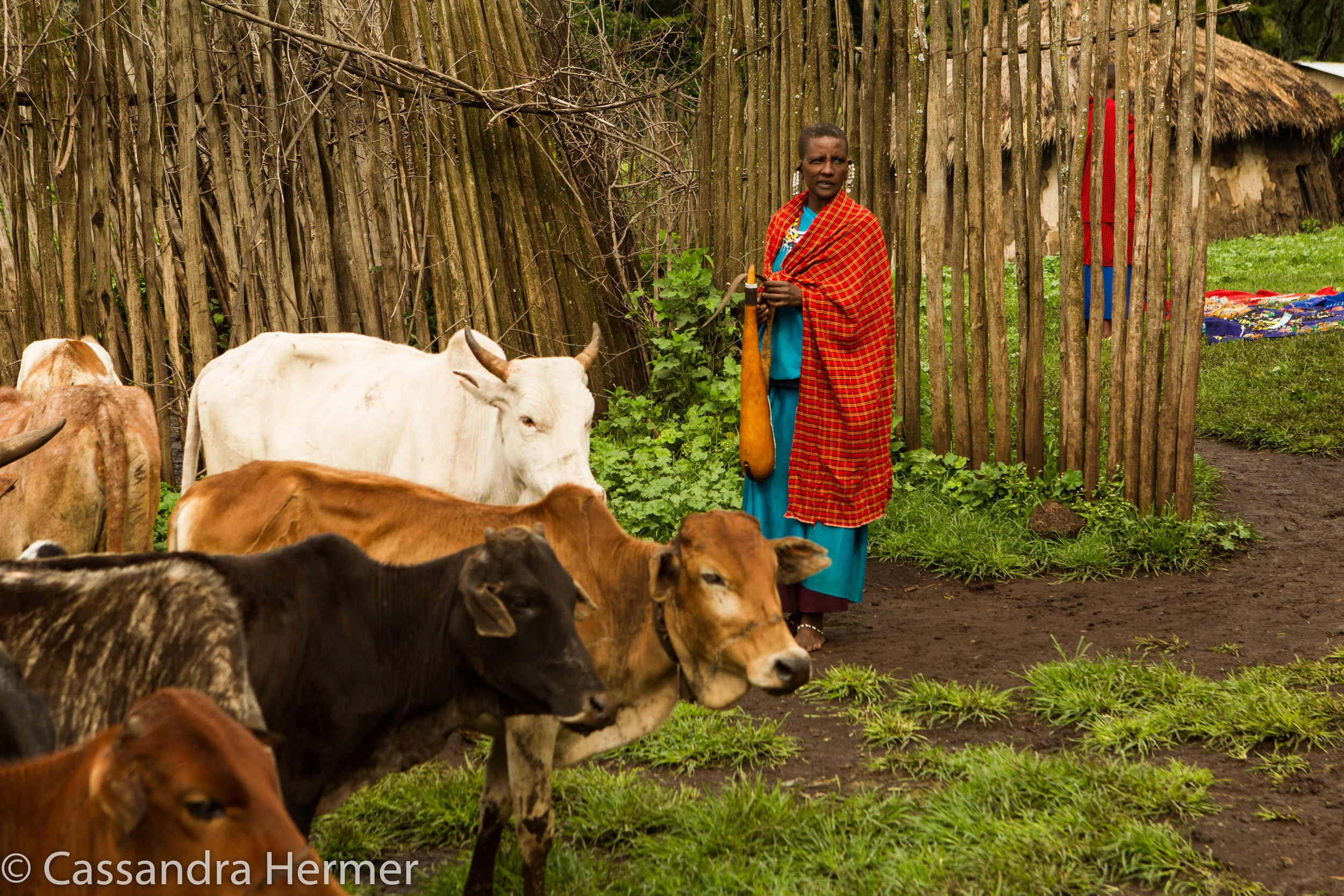 A warm welcome to their village 