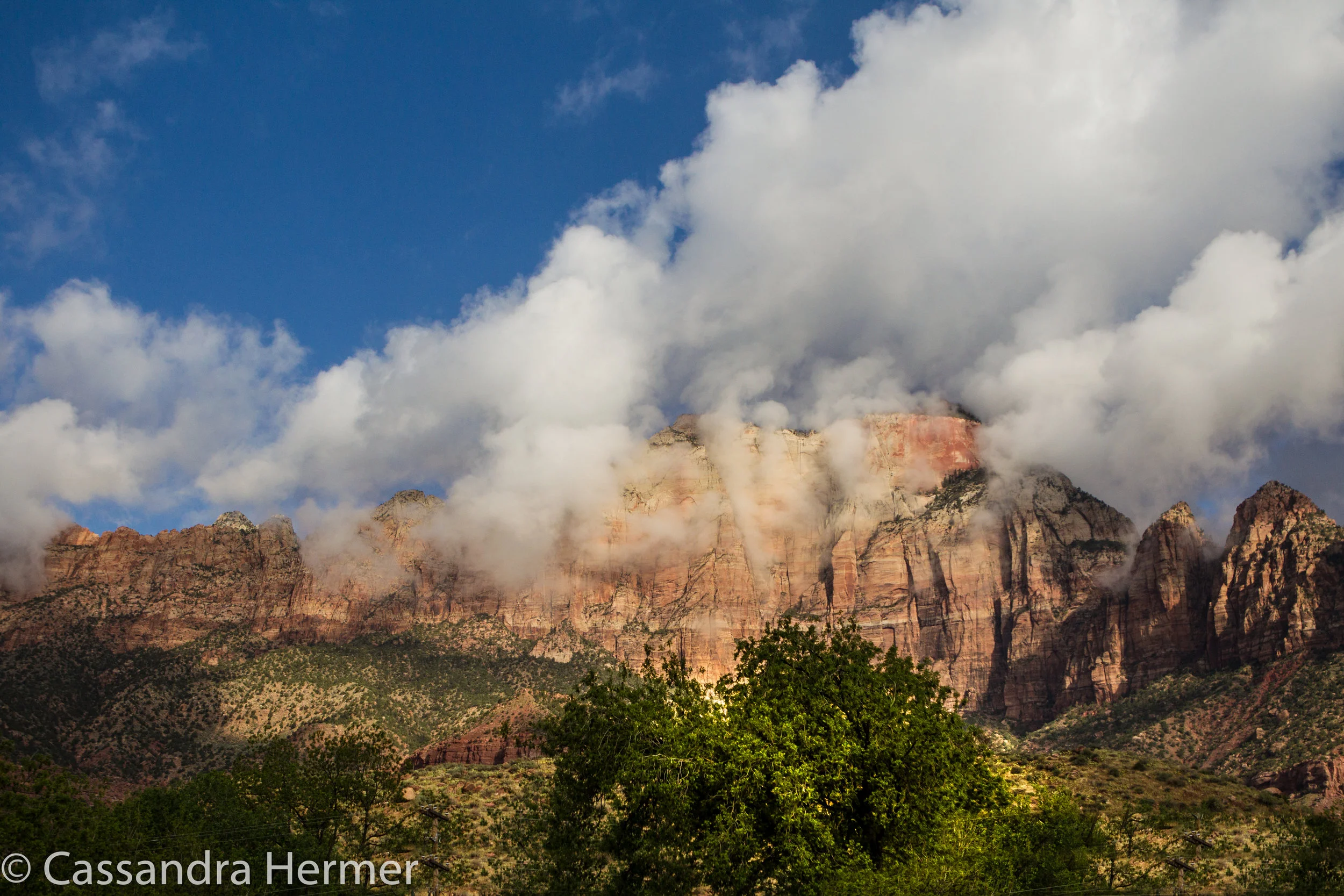  Zion National Park 