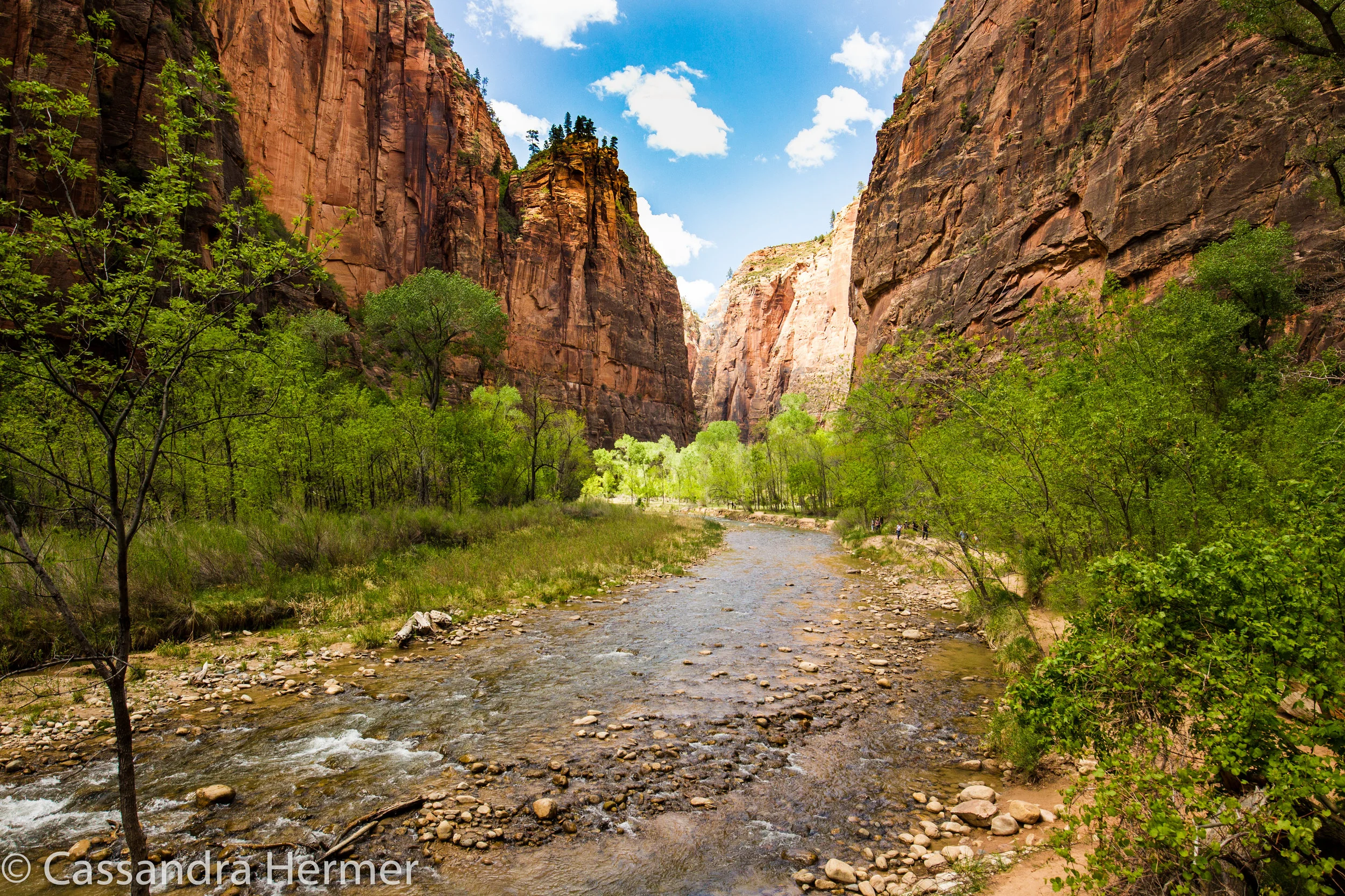  Gateway to the Narrows, Zion National Park 
