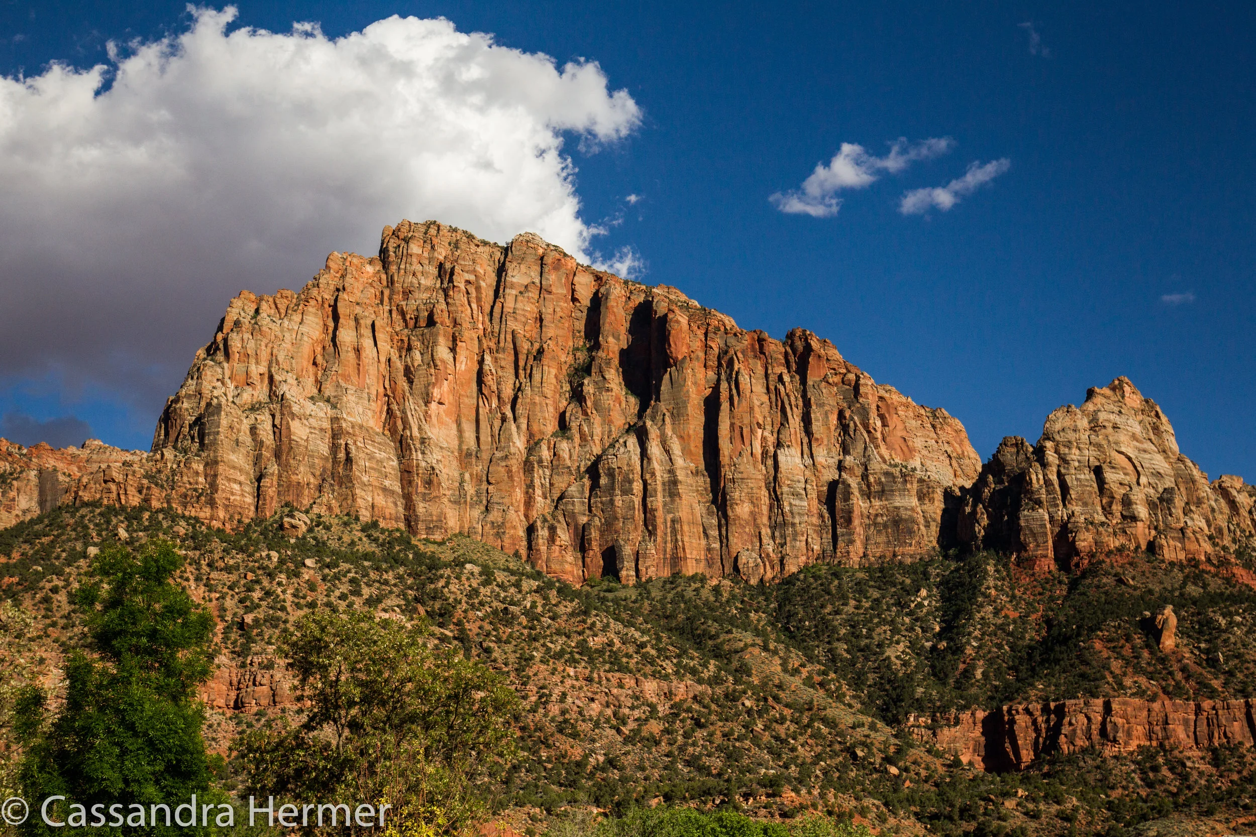  The Watchman, Zion National Park 