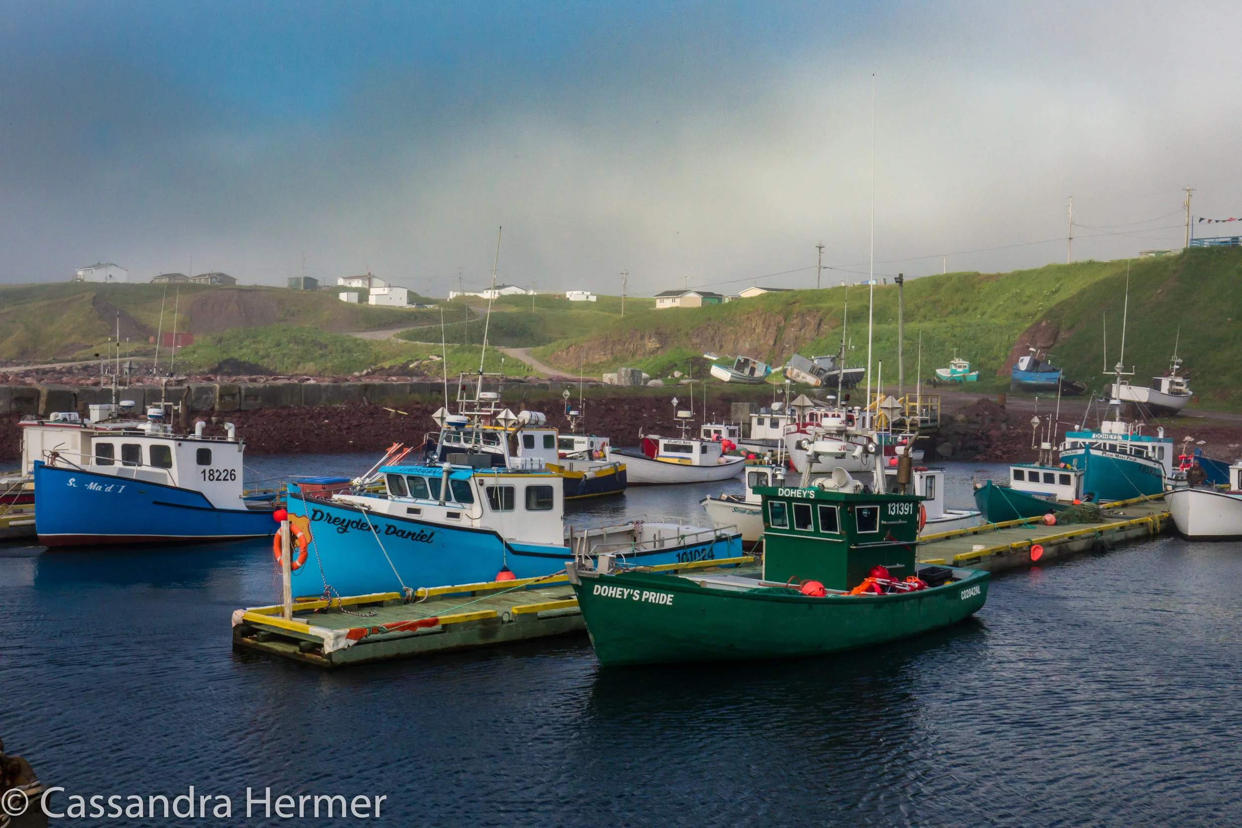  St Bride’s, Newfoundland. A tiny town , few services, but enough to get you by for a few days. Three days  here to visit the Northern Gannets in Cape St Mary’s. 