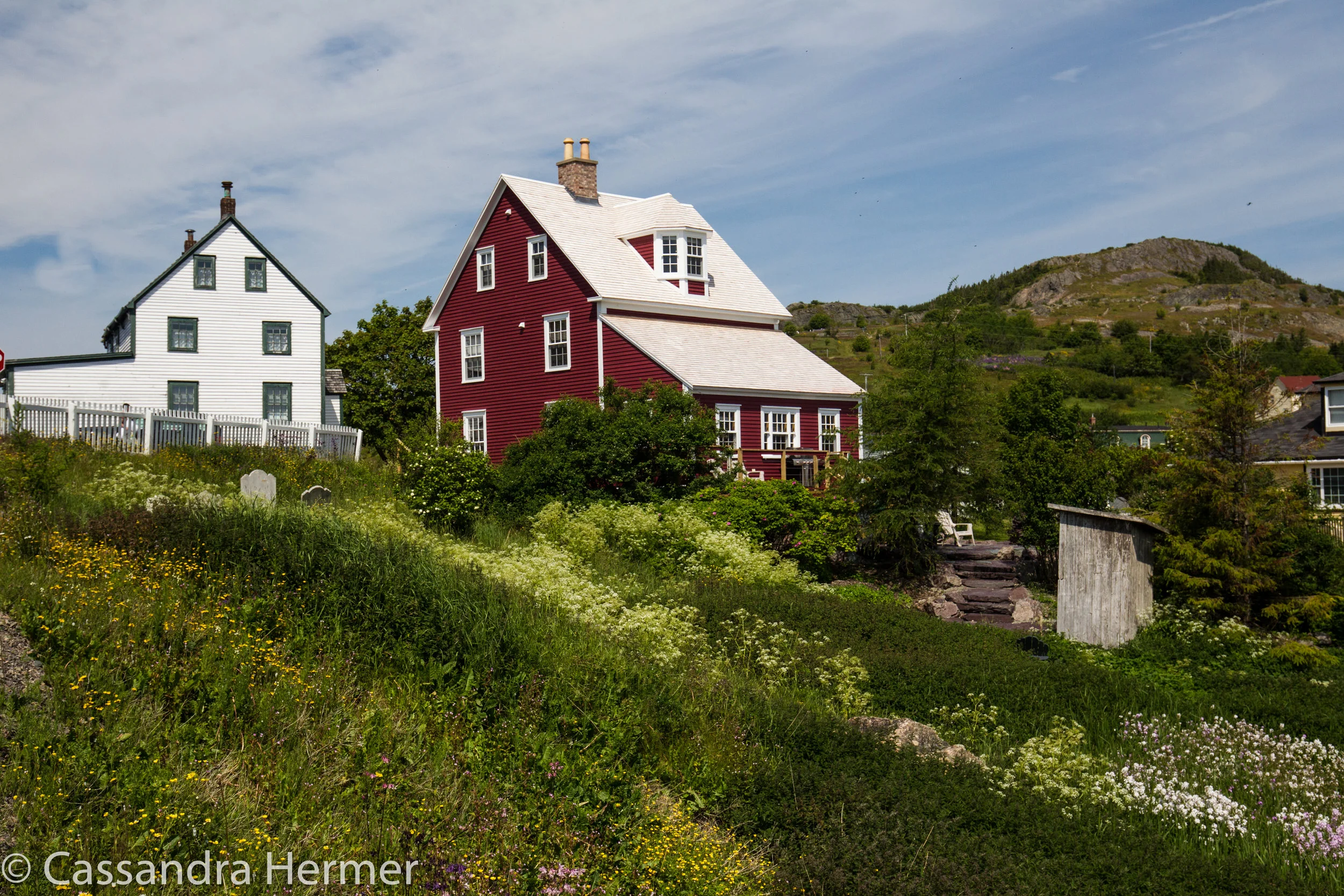  Trinity. There are a lot of these structures that are Registered Heritage Structures. They are well preserved and occupied. 