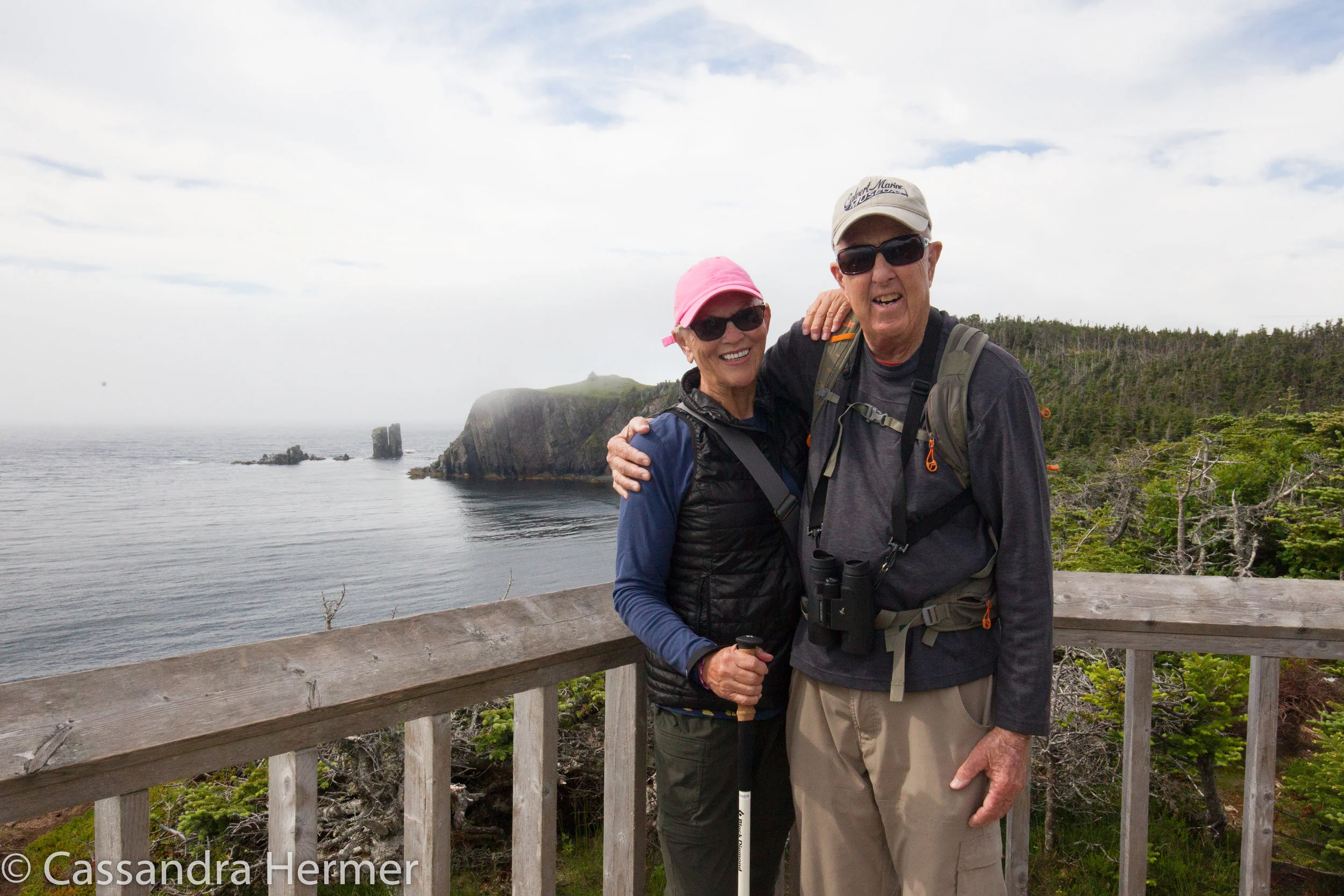  Another great trip to Newfoundland. Despite the fog, and more fog, everything went smoothly. NL is a great place for photographing and of course not to mention birds. We shall be back I’m sure. 