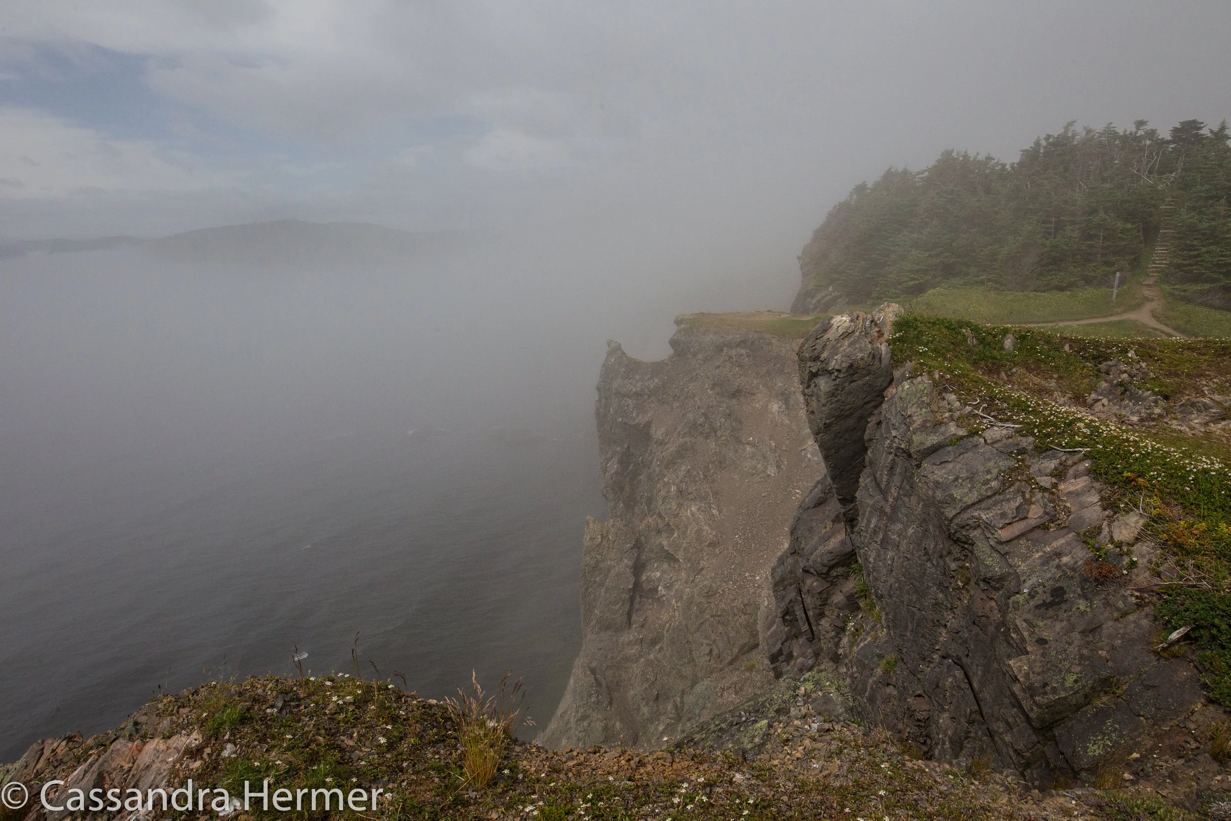  Yes, fog was arriving on Sherwink Trail 
