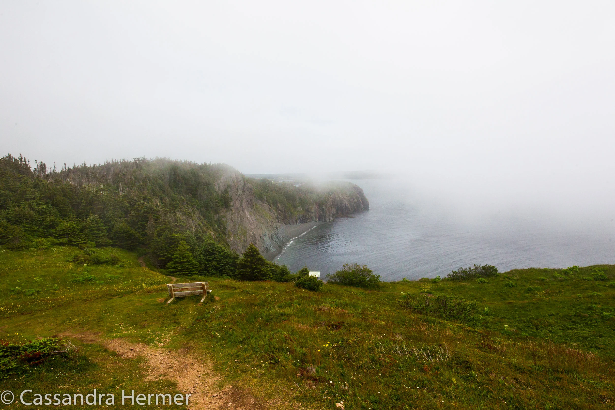  Top of Sherwink Trail, fog sort of ruined my photo op. 