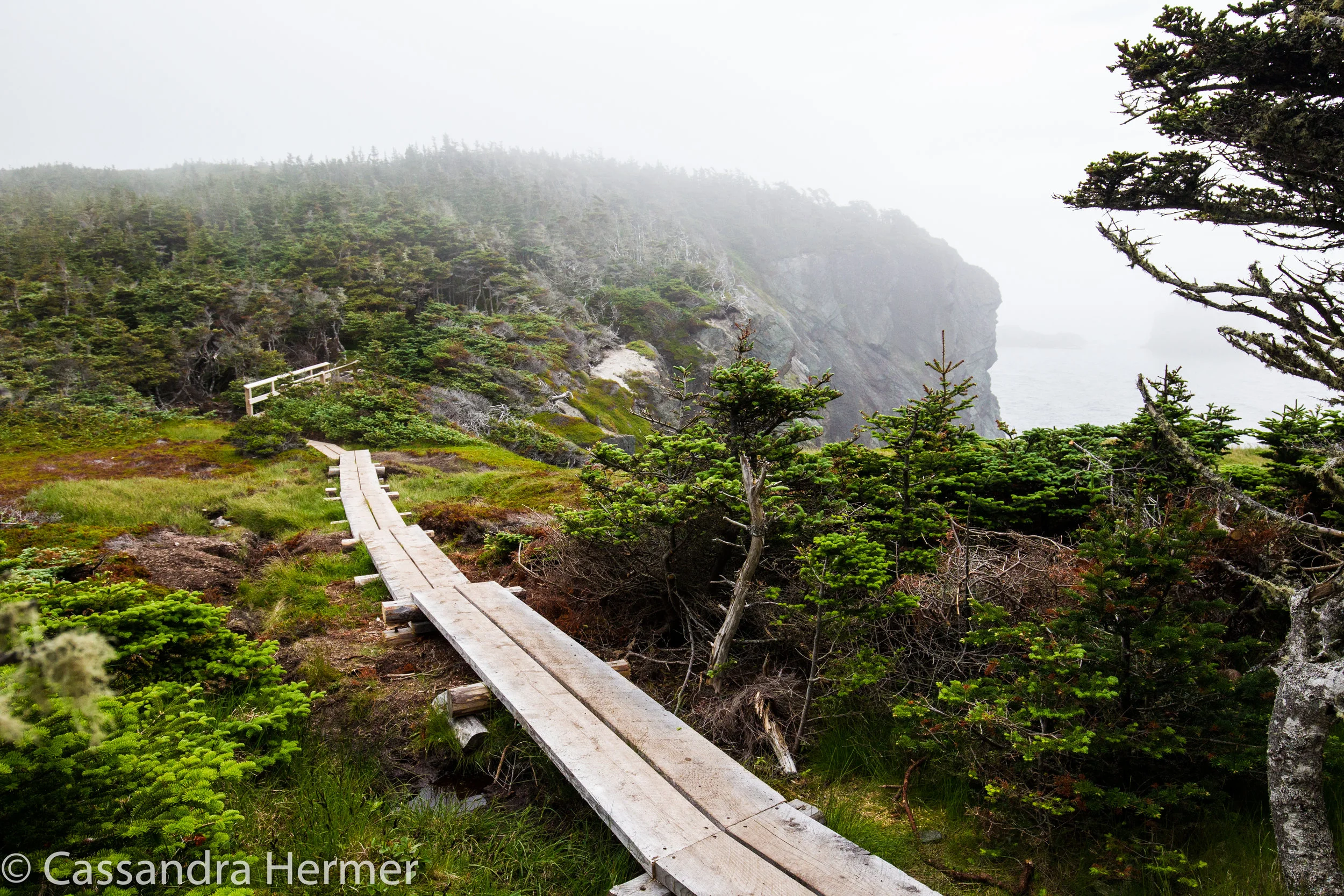  Sherwink Trail 