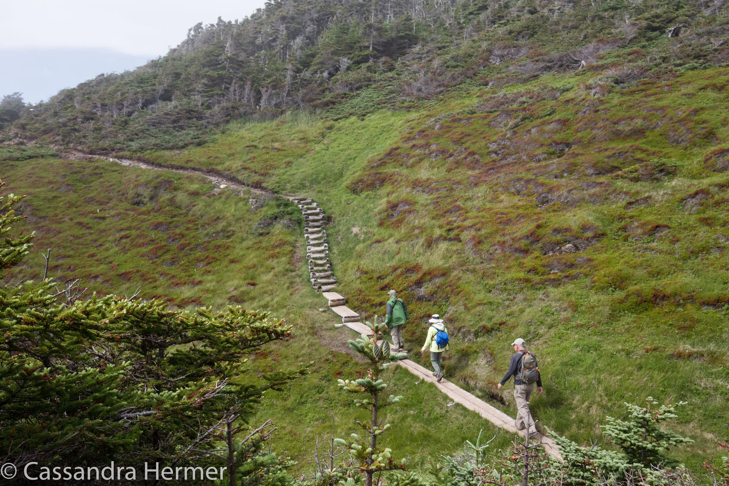  Sherwink Trail, our friends, Lee and Leslie and my hubby trailing. 