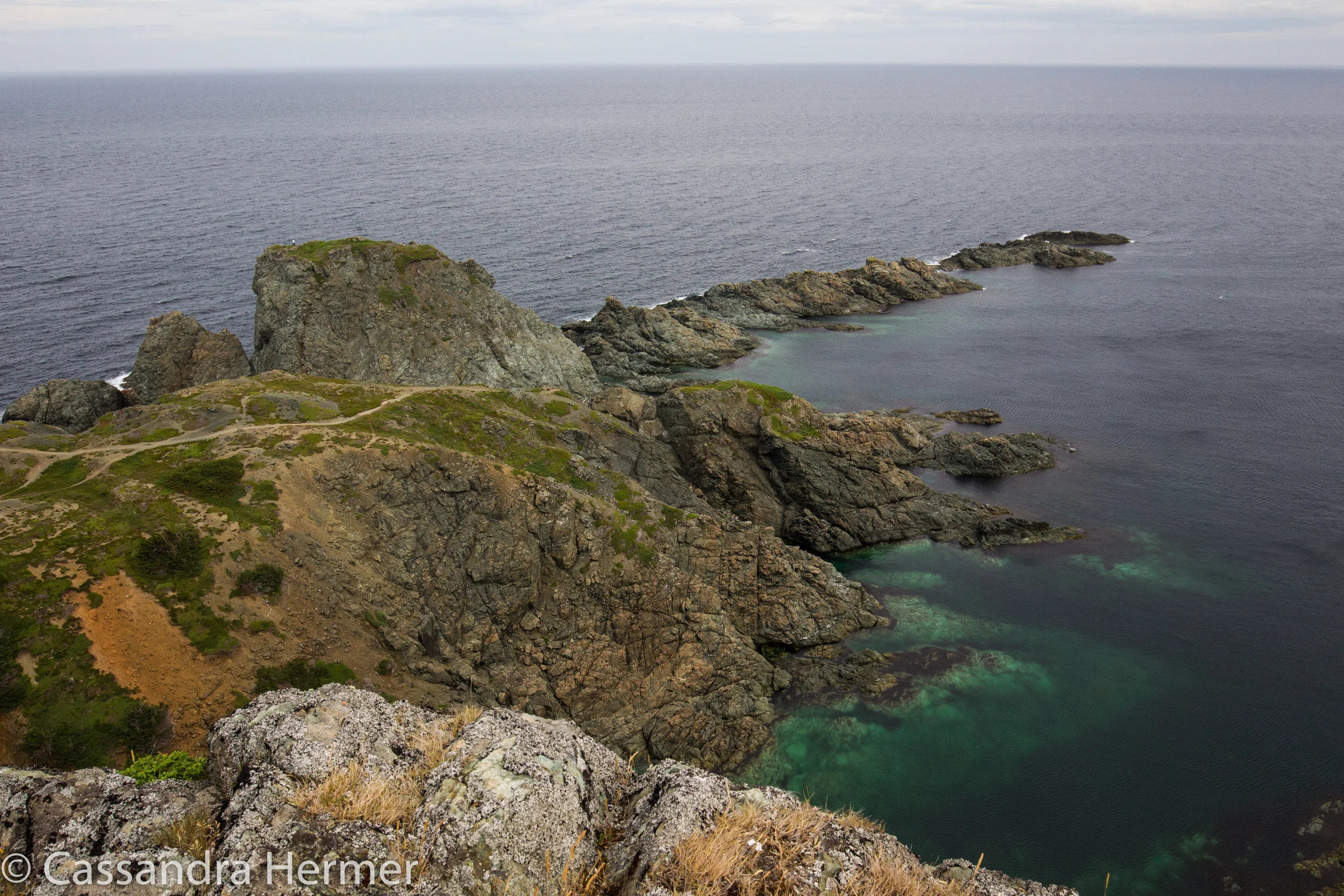  Twillingate Islands Coastal Trail. ( winds blowing hard this am) Hiking up on these trails looking down to the Atlantic Ocean was beautiful. 