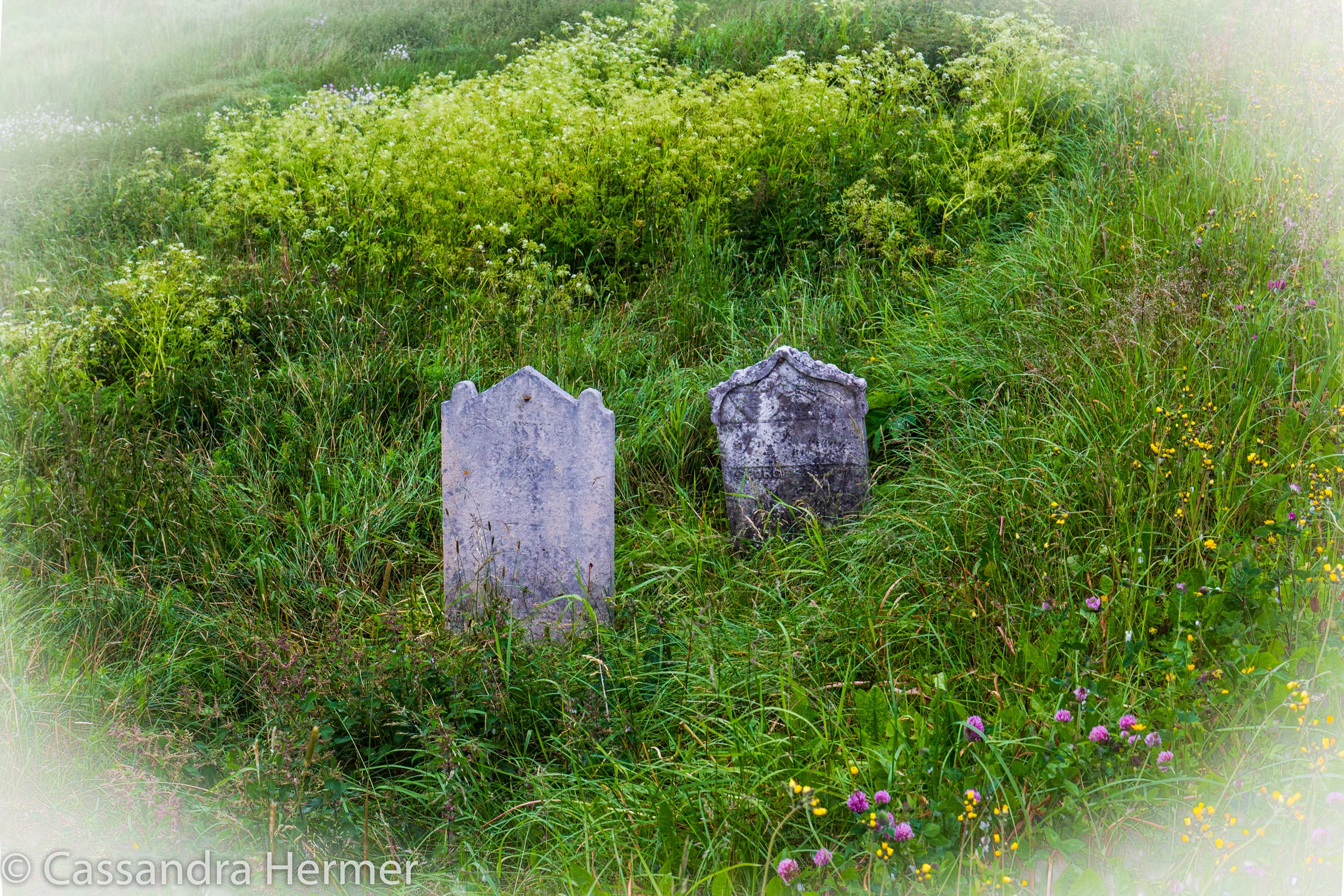  Saw these old tombstones in someone’s back yard. Unable to read anything on it. Trinity 