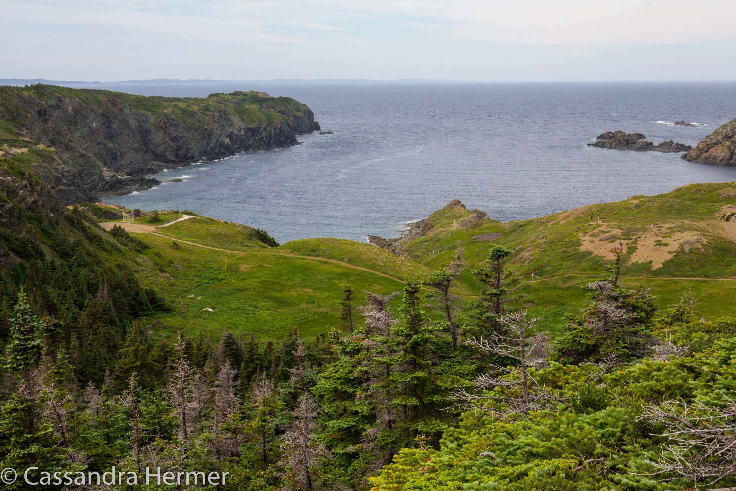 Twillingate Islands Coastal Trails 