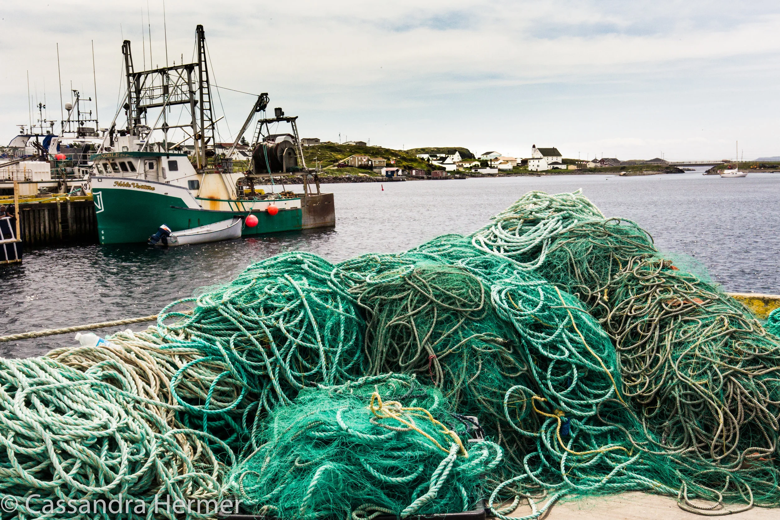  Twillingate fishing harbor 