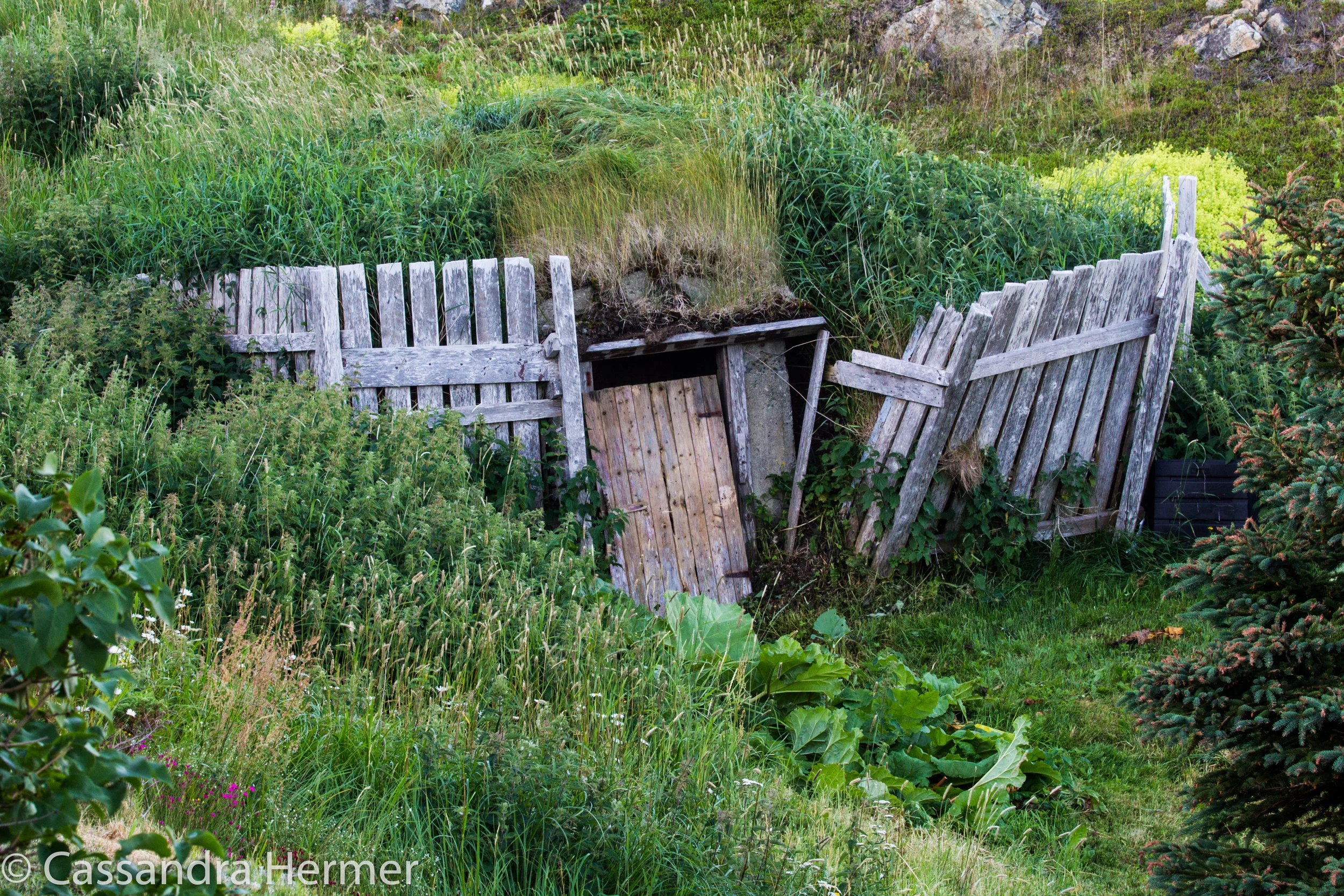  &nbsp; Root cellars &nbsp;keep food from freezing during the winter and keep food cool during the summer to prevent spoilage. Typically, a variety of vegetables are placed in the&nbsp; root cellar &nbsp;in the autumn, after harvesting.Saw a lot of c