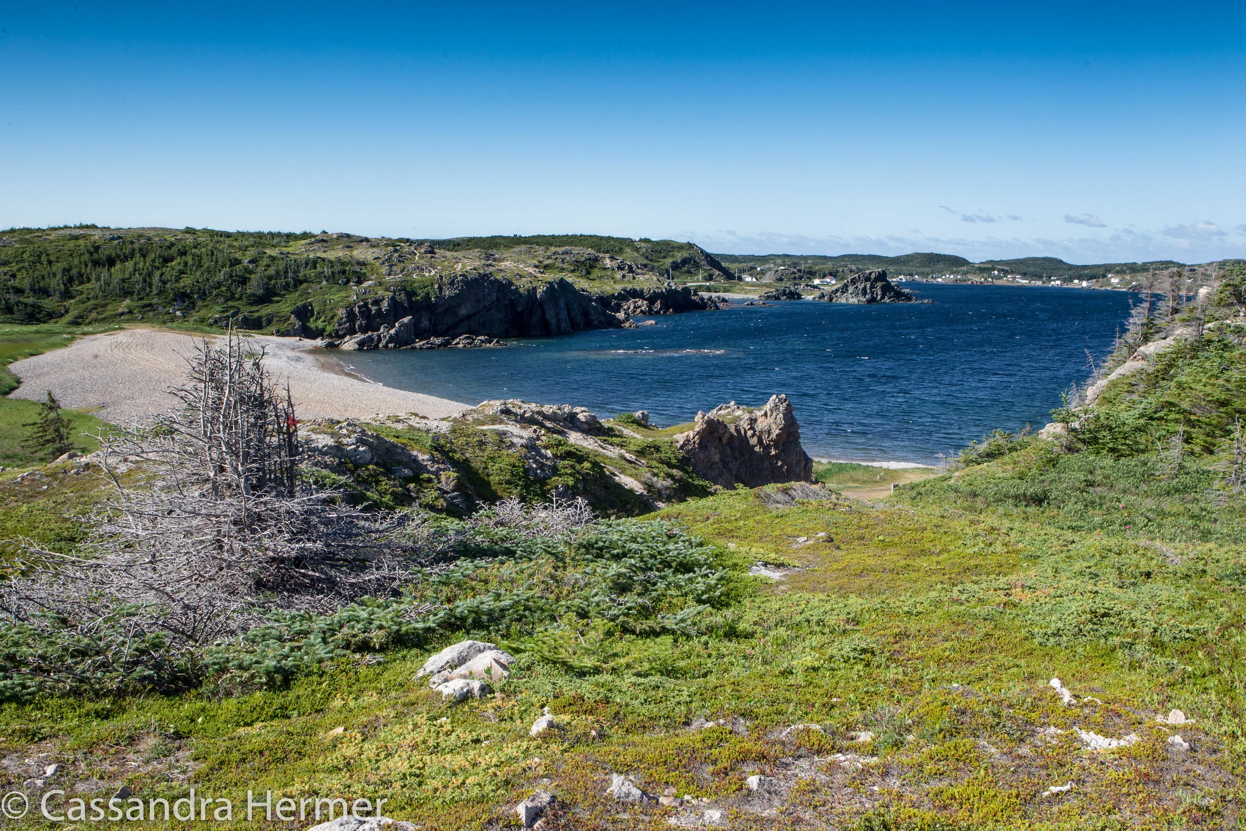  Twillingate,NL 