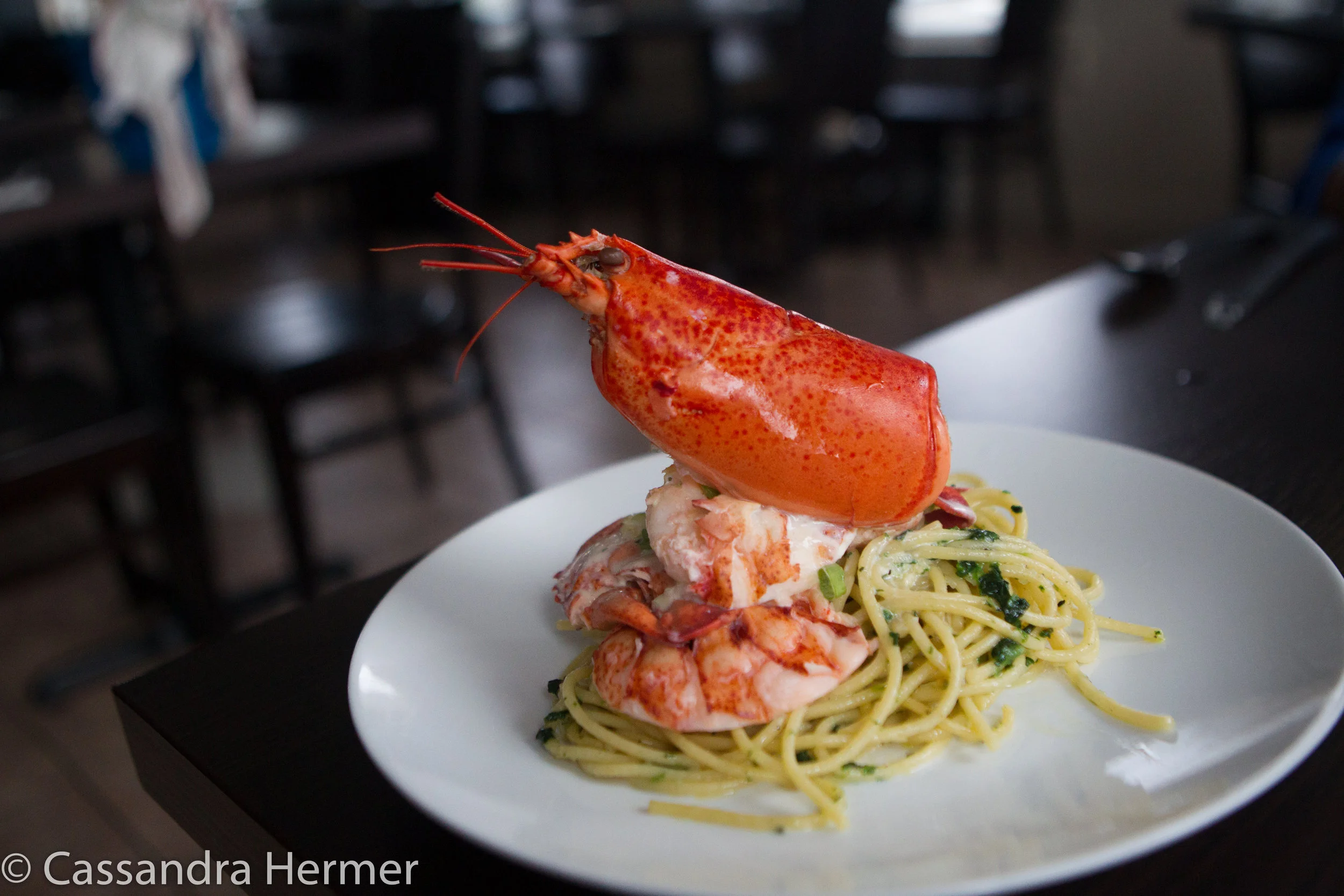 My very favorite dinner in Twillingate, Canvas Cove. A pound of lobster  on top of the pasta, amazing. Along with Iceberg  Beer( Canadian beer) 