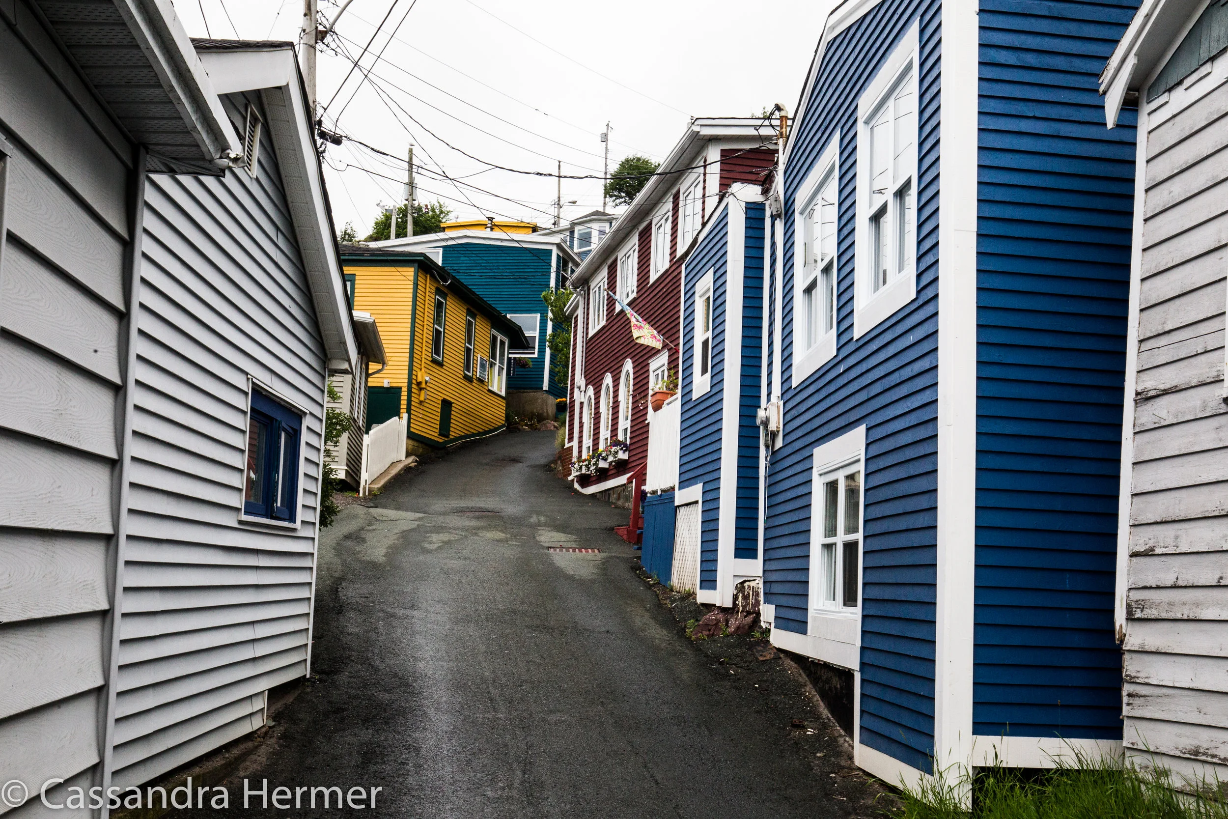   Battery Road is suspended above the city. it has the best location and views perched on the cliffs above St John’s Harbor. A very narrow street goes in-between these closely knit homes. 