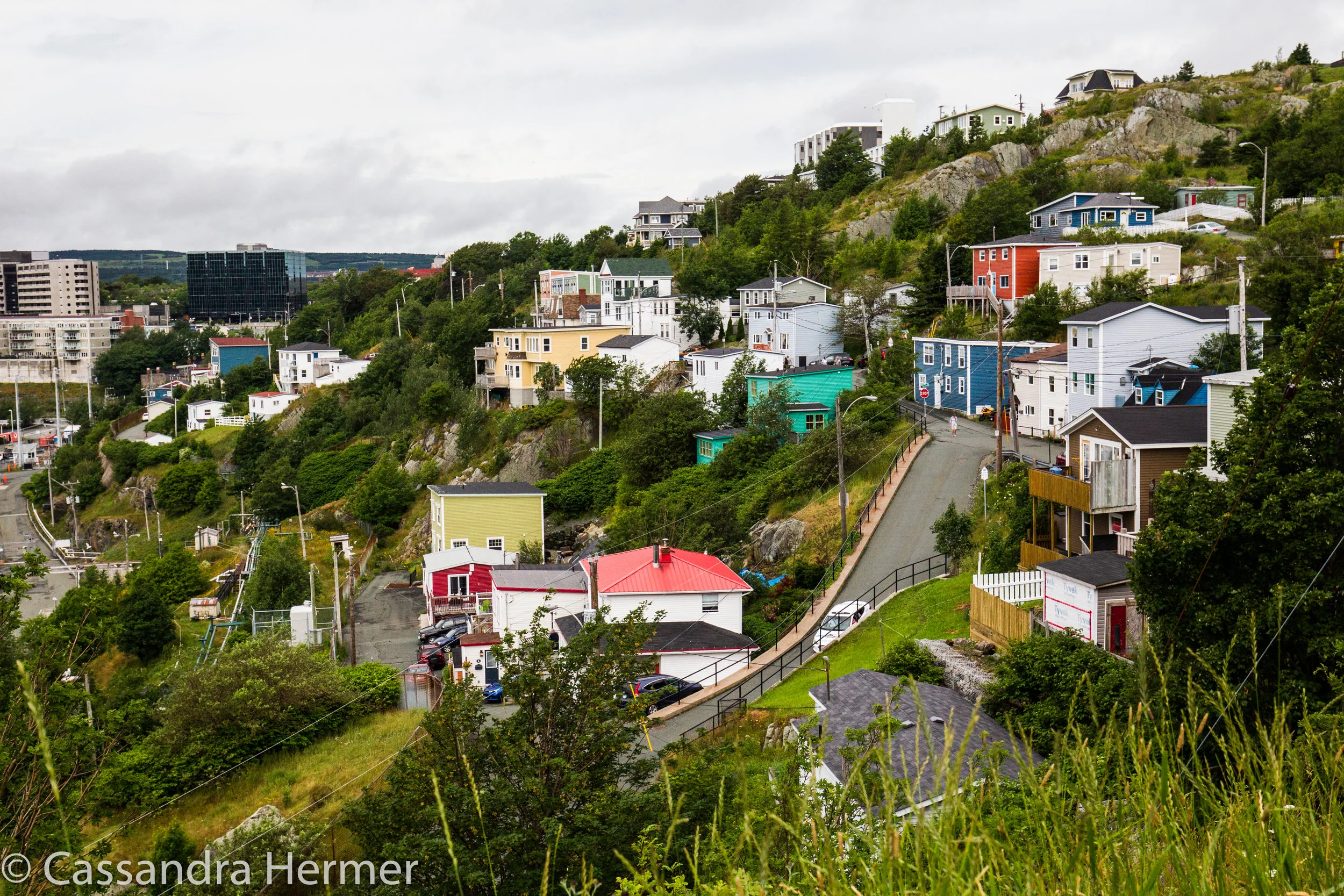  St John’s,NL, Signal Hill, Battery Road. On the cliffs overlooking the harbor.   