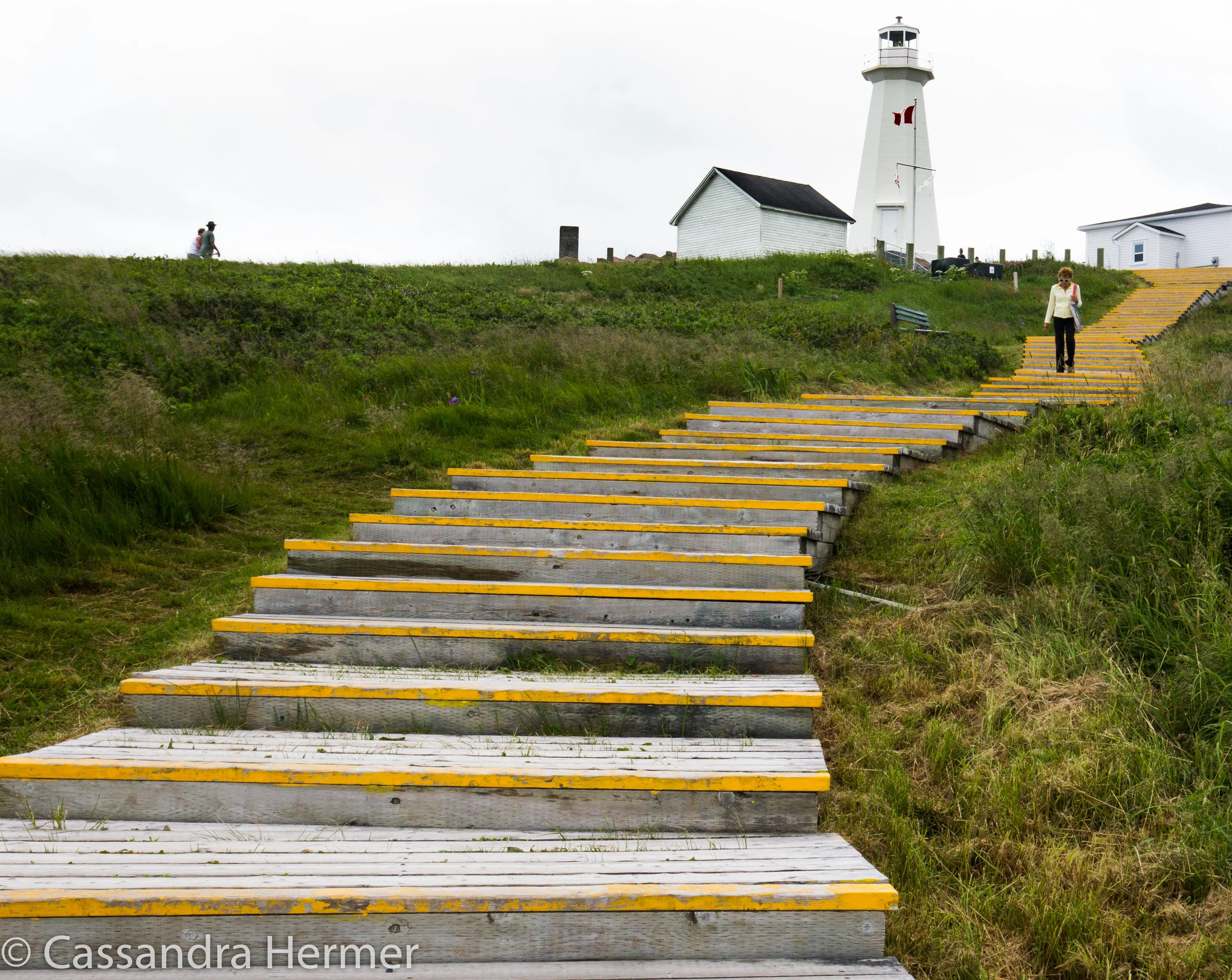  We walked all over St John’s exploring our last day, Here is what my smart phone said I did.  Walked 5.2 miles, 14,190 steps,39 floors!! These steps up to  Cape Spear Lighthouse was one part. 
