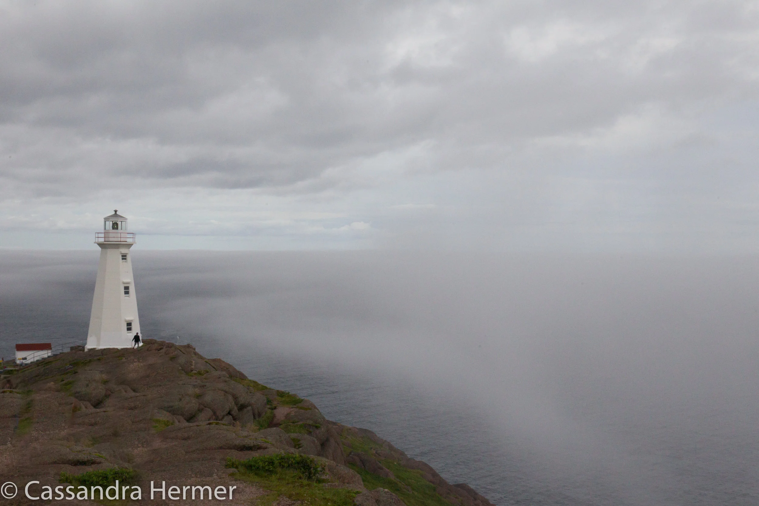  As our first day in NL, and our last day and in-between, saw a lot of fog. Here is the fog rolling in at the Cape Spear’s Lighthouse. 