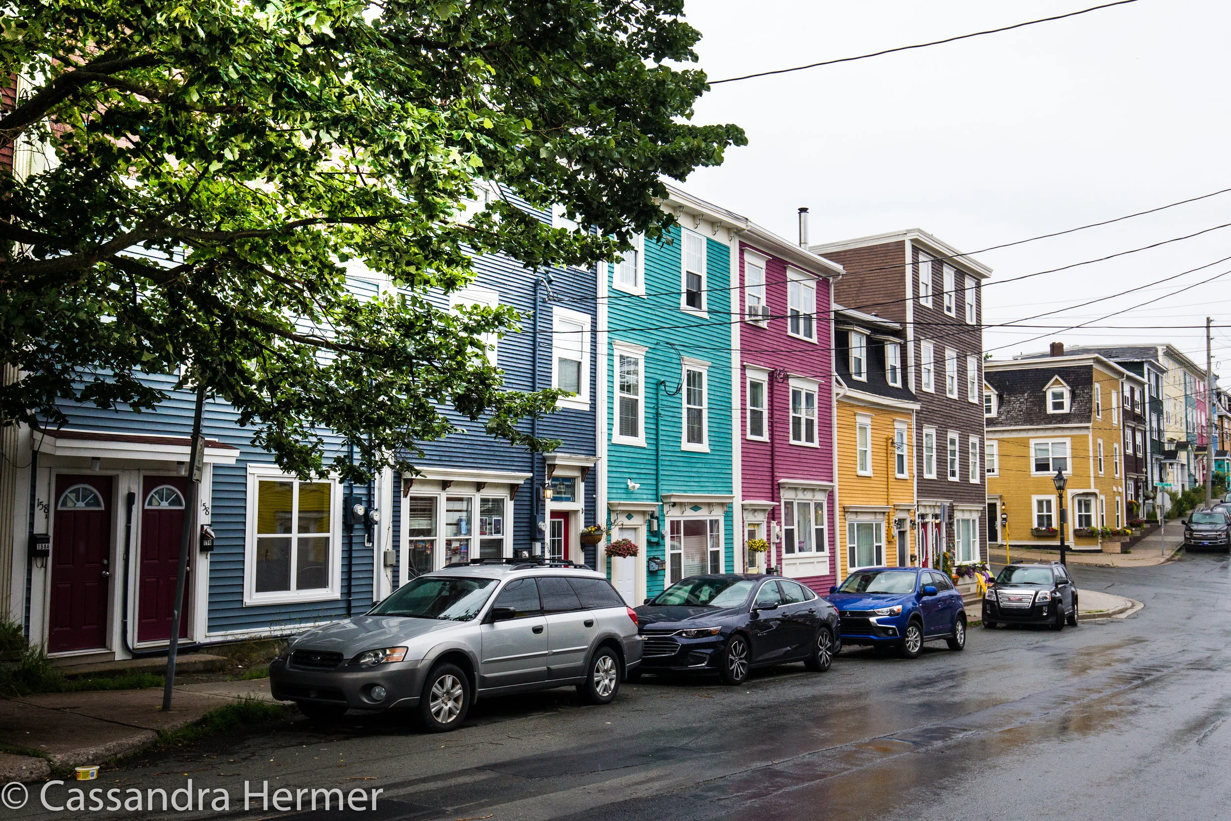  St John’s row houses are an amazing array of colors. Block after block, every color you can imagine. 