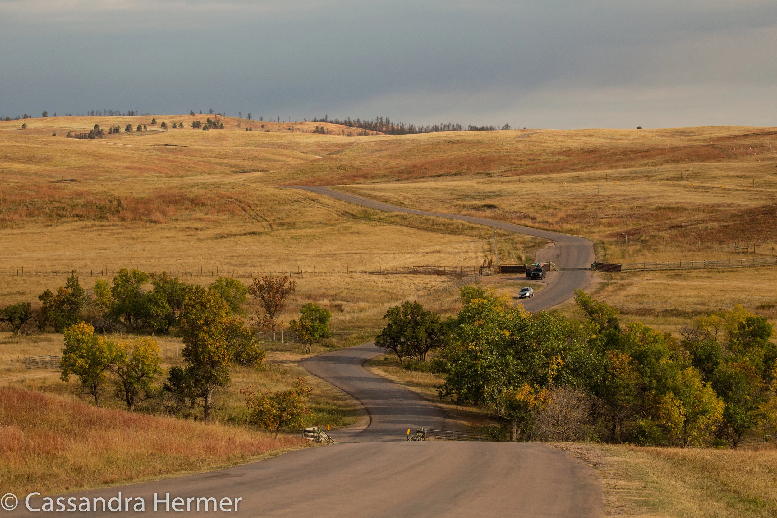  Black Hills. This is part of a nature loop road, goes on for twenty miles. ( a fabulous drive) This is where the buffalo roam. All 1300 of them. 