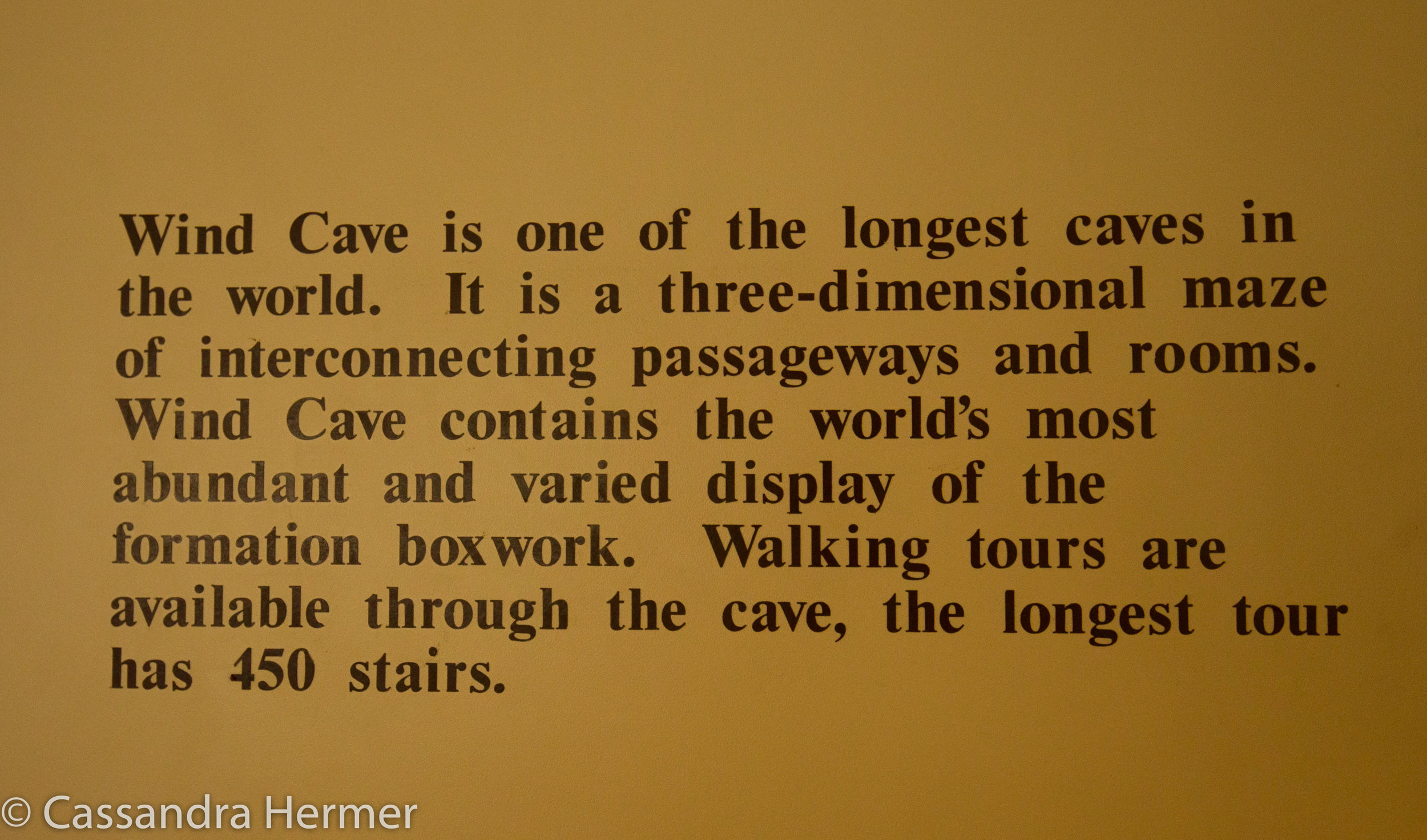  This huge cave was amazing, a two hour tour into the dark, with some low lights. Unable to take any decent photos due to the darkness.( near Black Hills) 