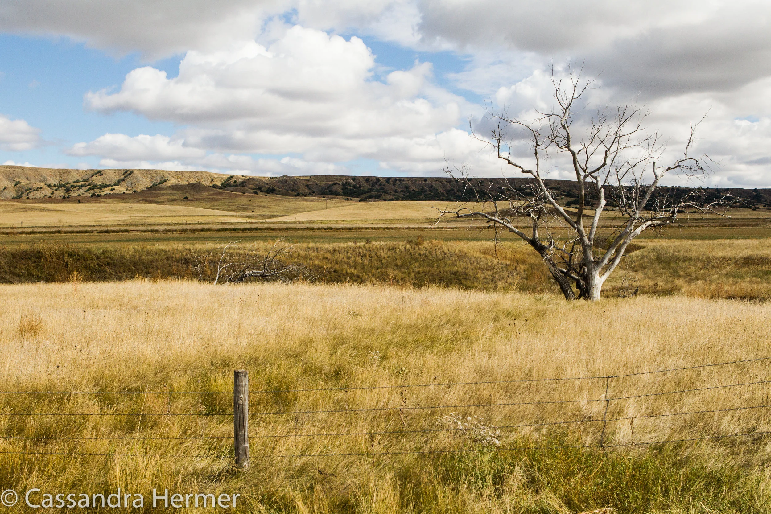  More of the farm road, SD 
